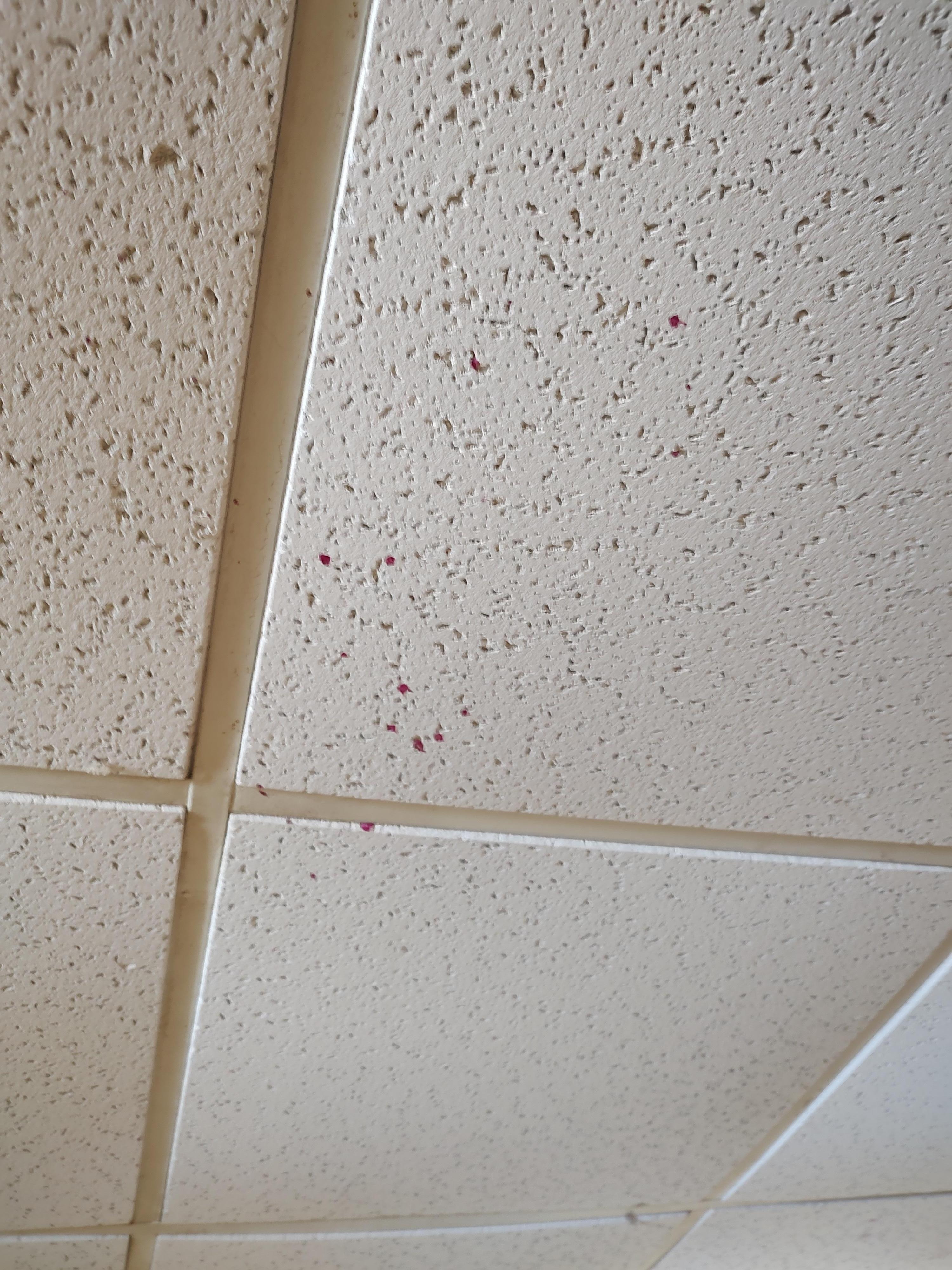  another part of the dirty celing above the bed