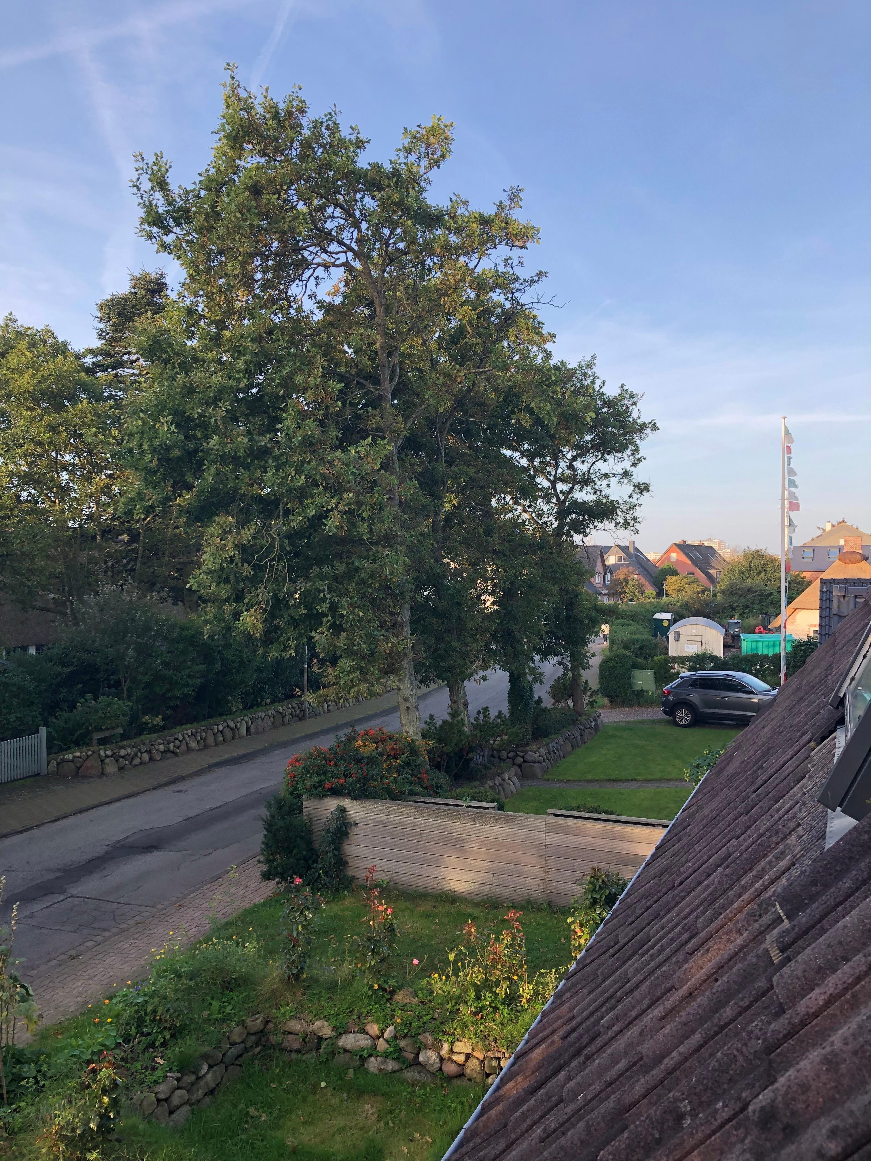 Blick aus dem Fenster