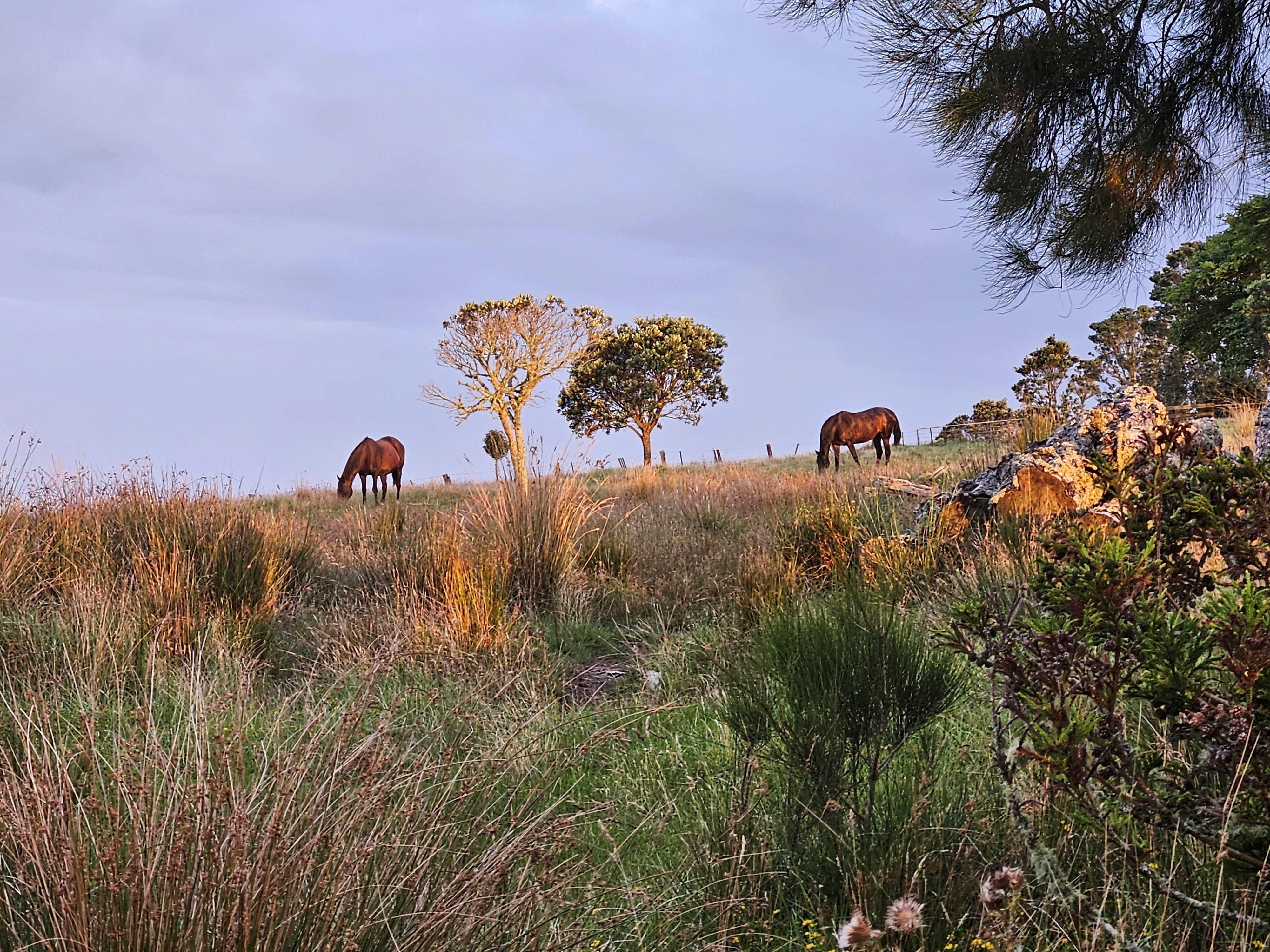 Near neighbours on the property