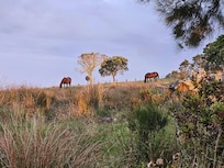 Near neighbours on the property