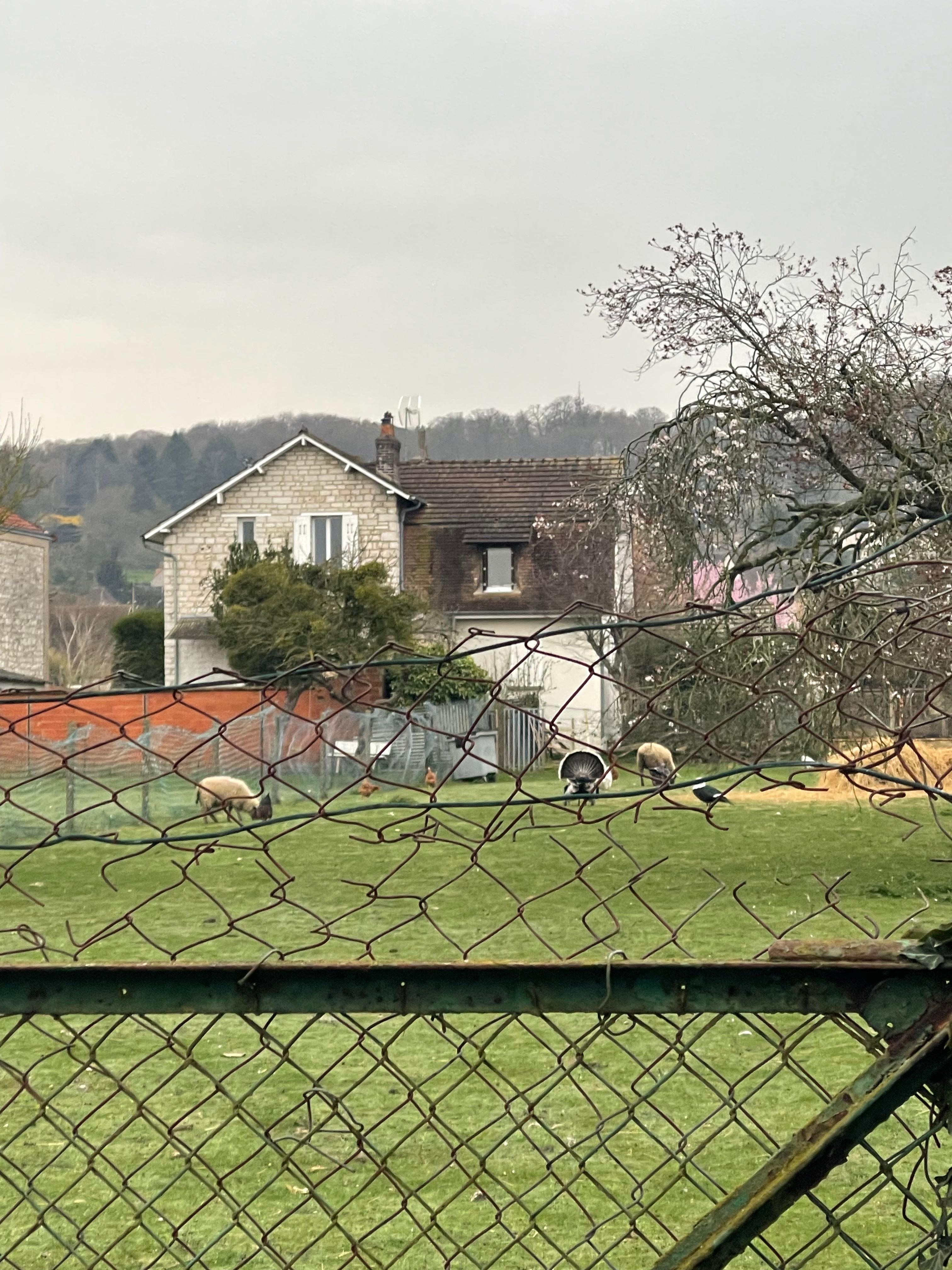 Behind the place.  Note this unit is a little walk down a path between two homes sort of.