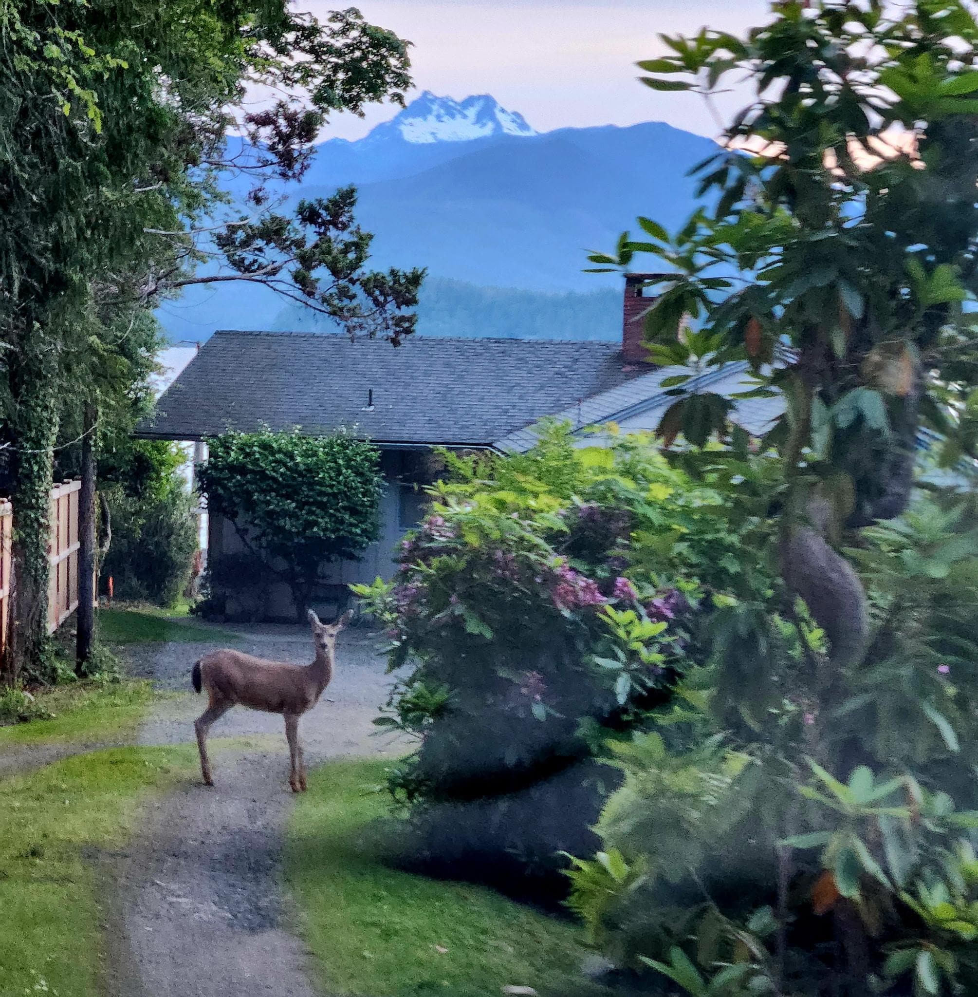 Driveway entering home