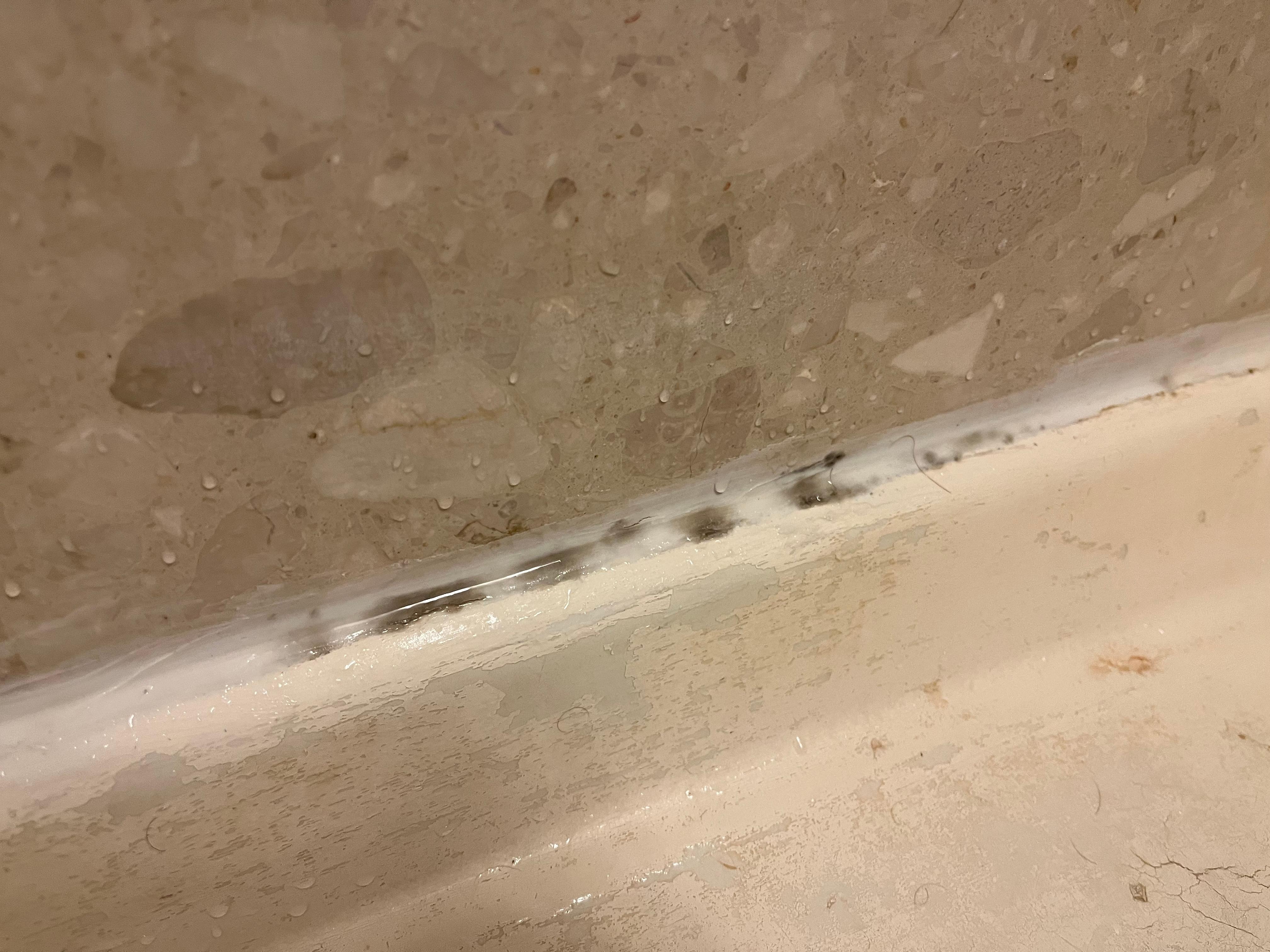Mold?