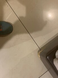 Floor with the cigarette residue