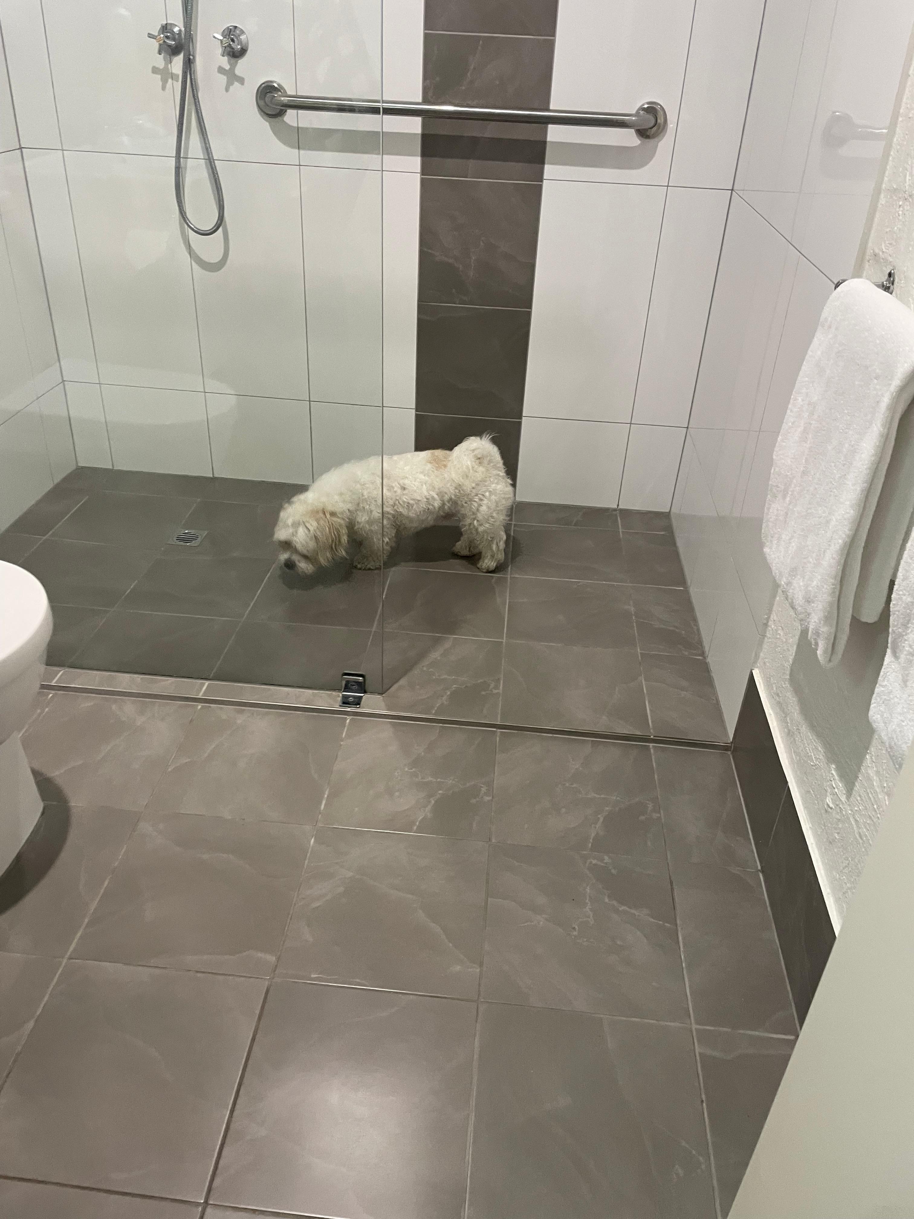 Large walk in shower