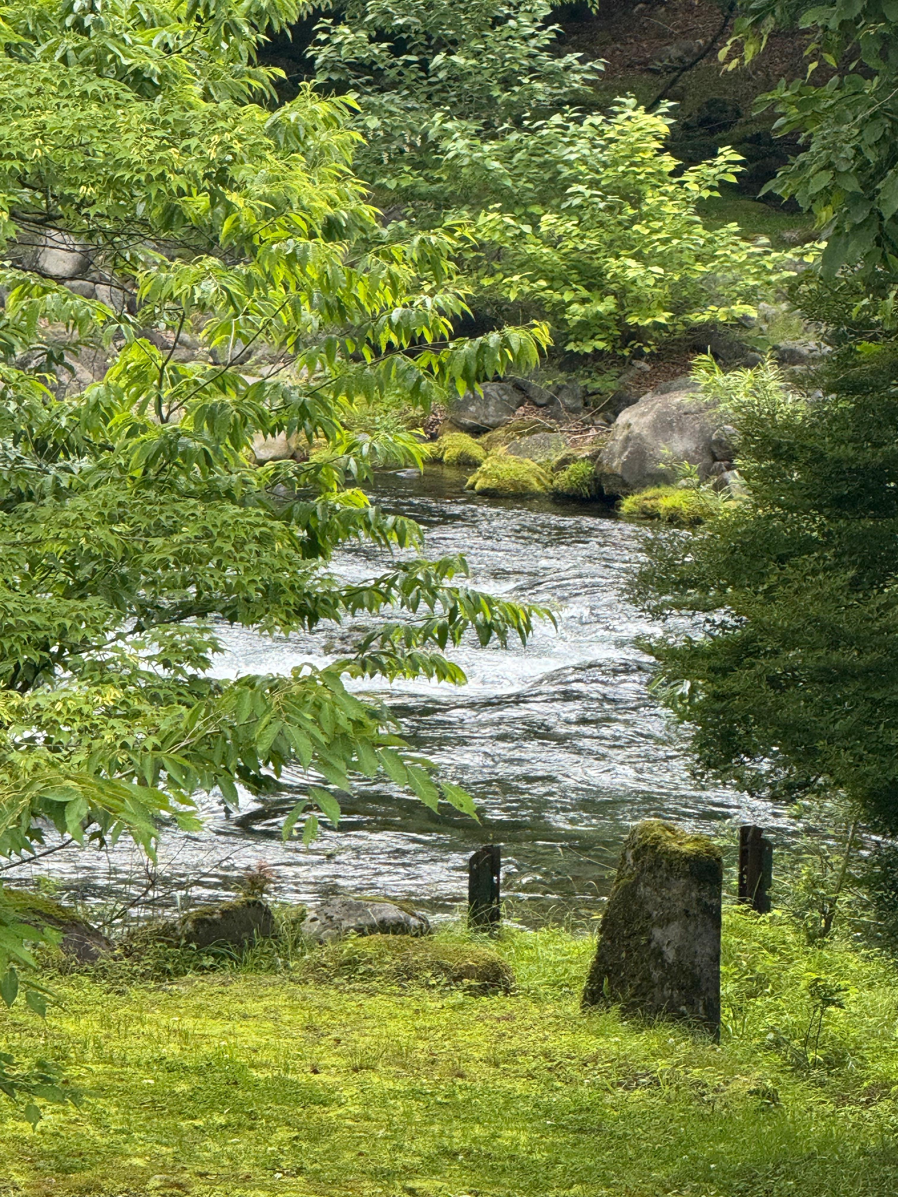 裏に川が流れていて、流れの音が聞こえます