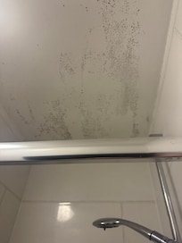Bathroom ceiling