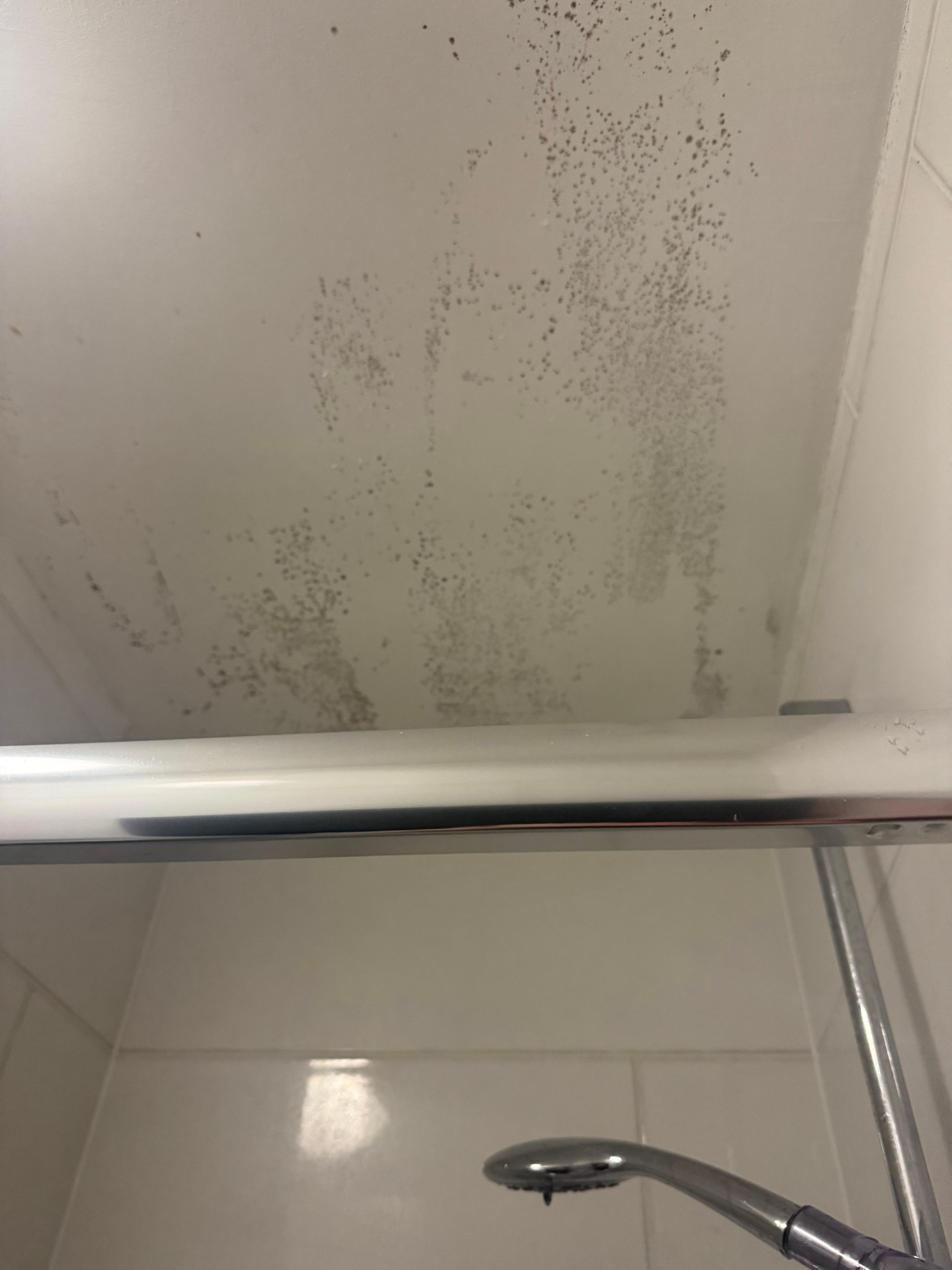 Bathroom ceiling 
