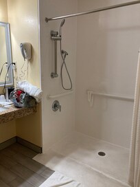 Large bathroom with everything we needed provided.