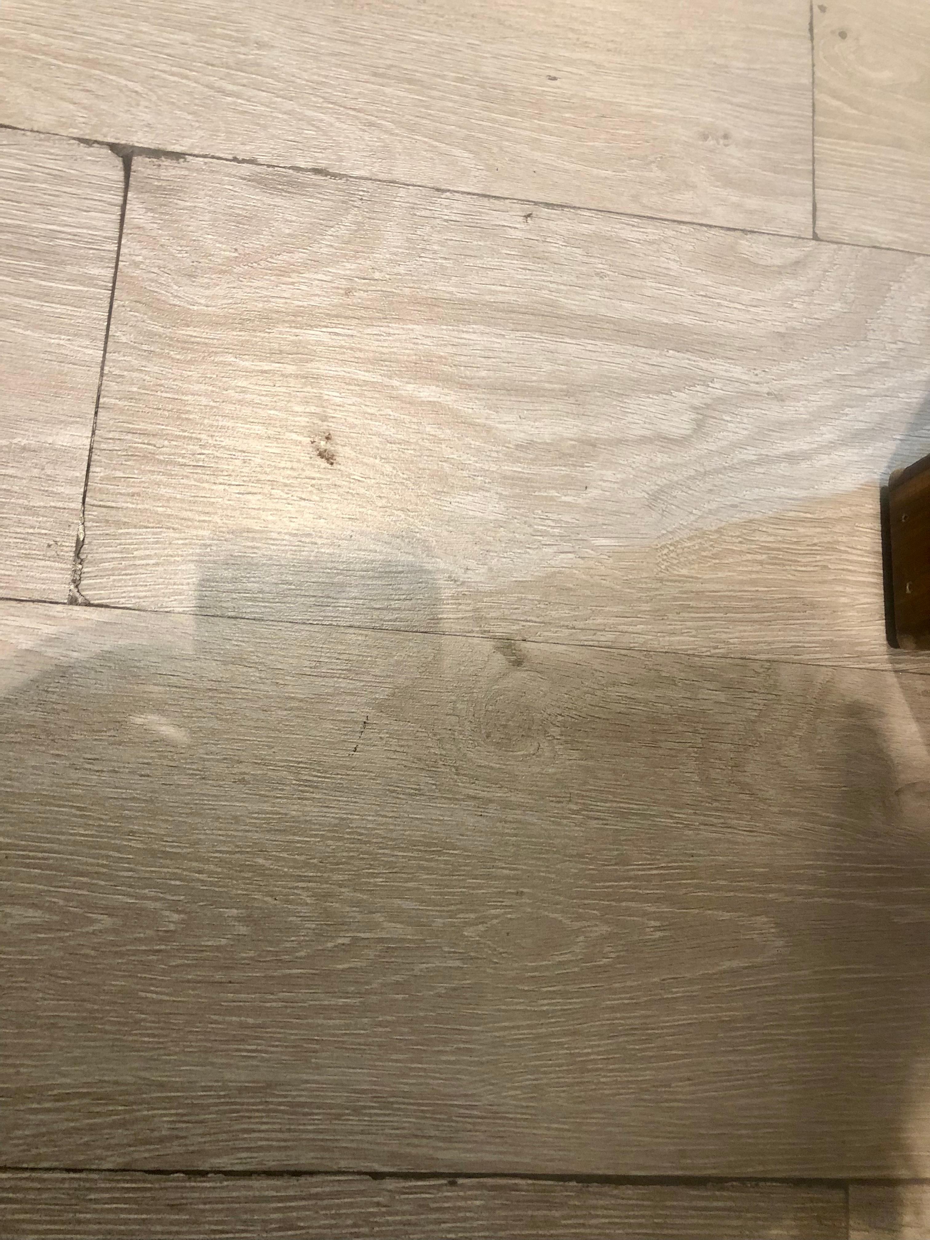 Piso muy sucio inaceptable. Con sustancia pegajosa que parece estaba allí bastante tiempo. 