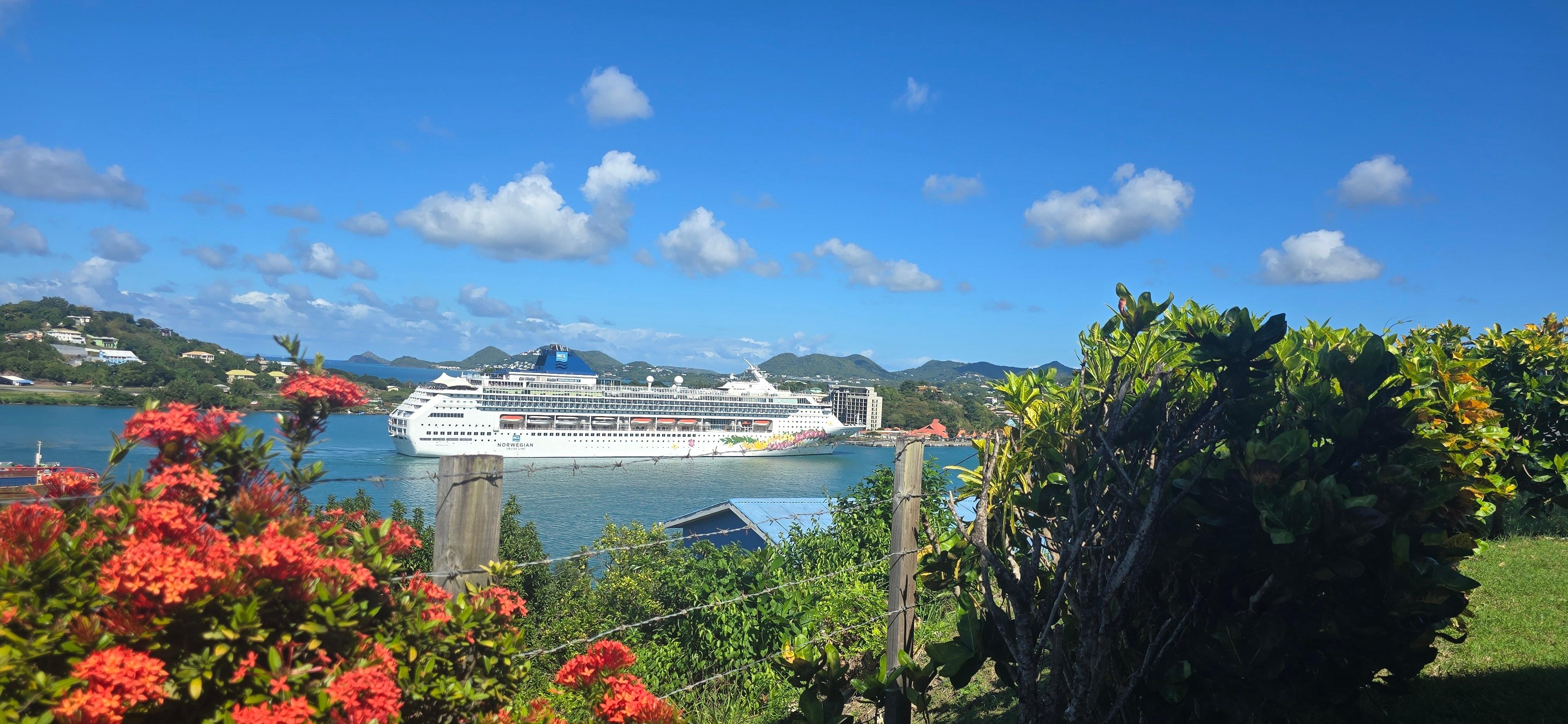 View from the patio. 