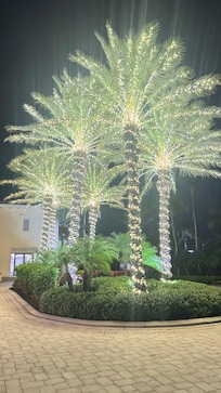 Christmas lights on property grounds