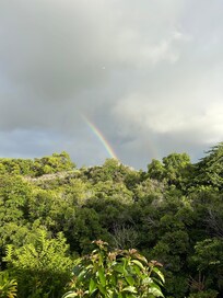 Balcony views