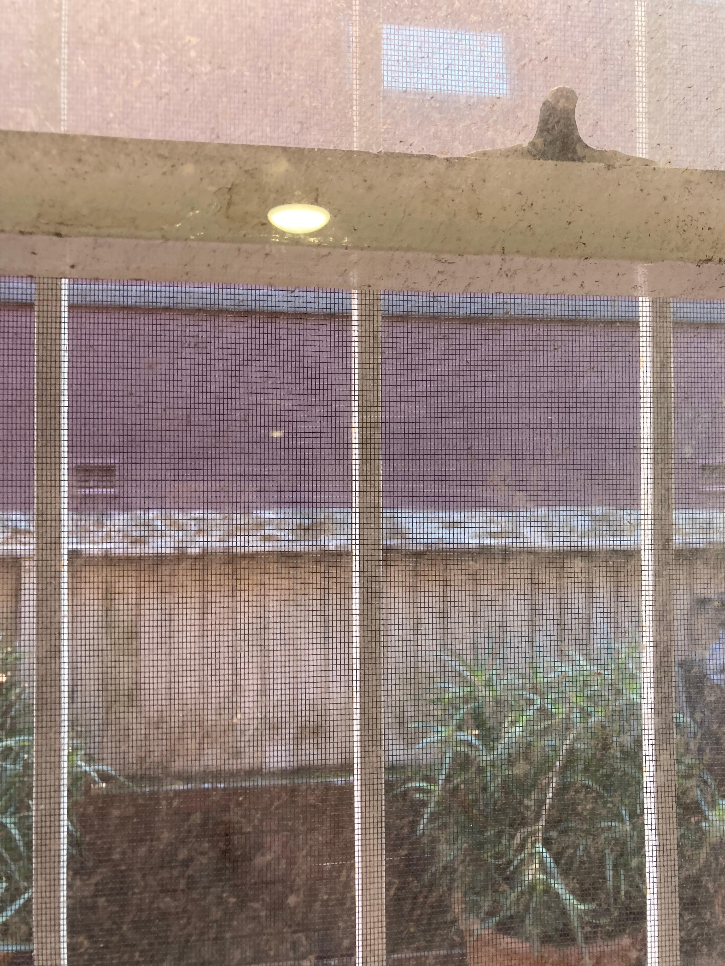 Everywhere felt grimy and dingy