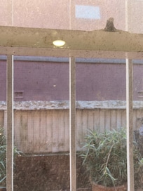 Everywhere felt grimy and dingy