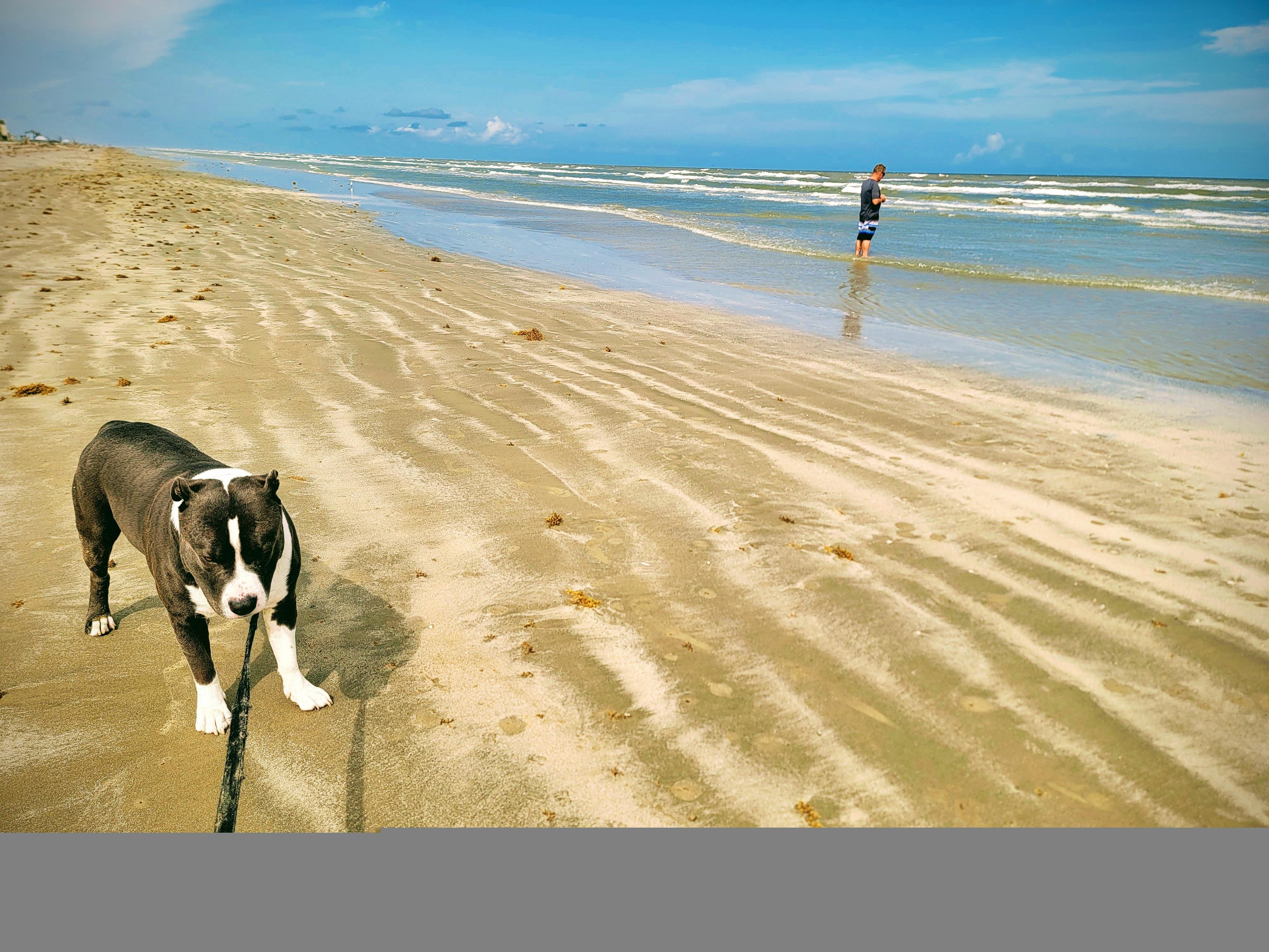 Quiet and clean beaches all around. 