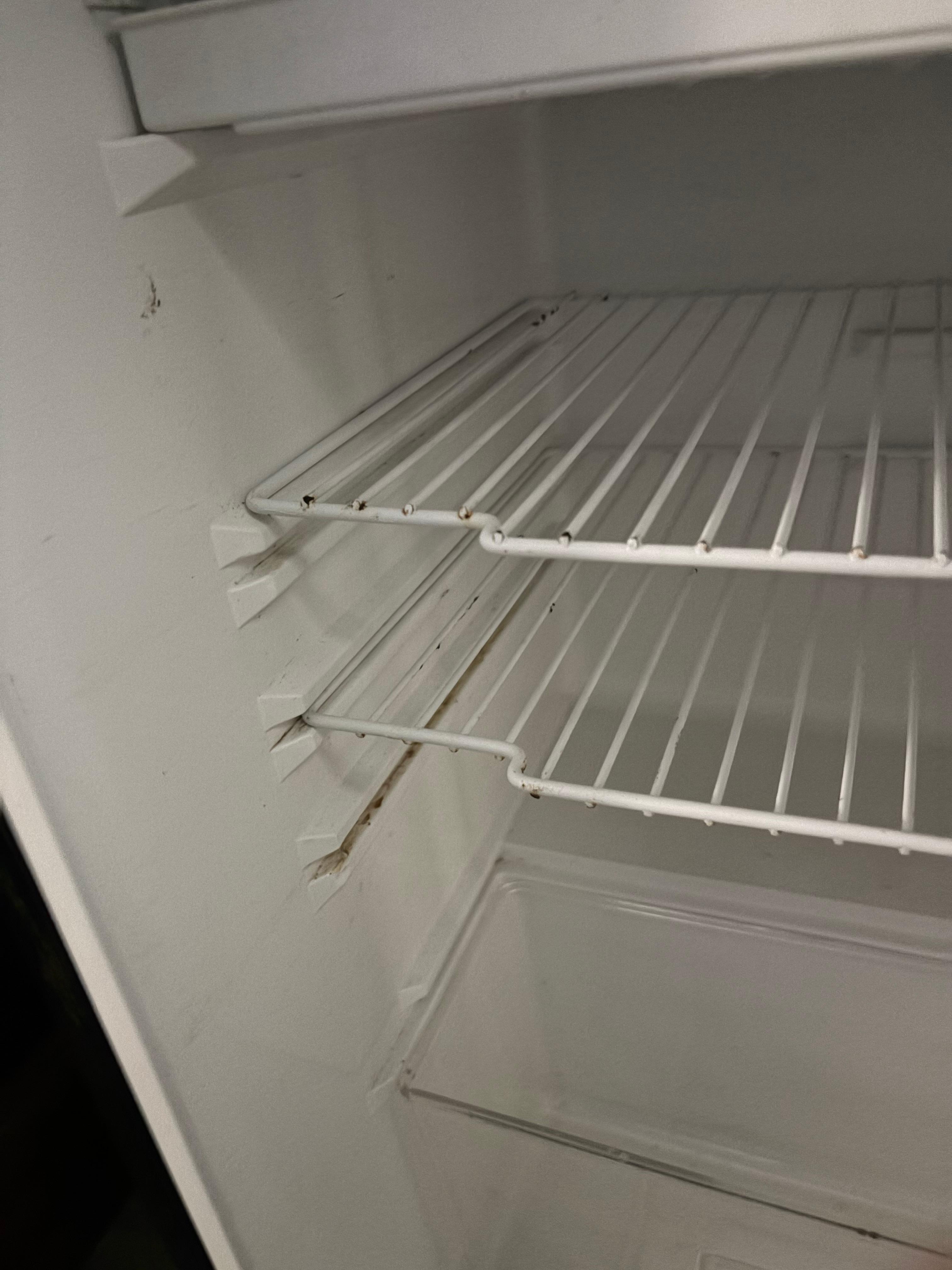 Filthy fridge
