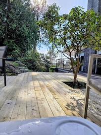 Lovely view from the hot tub