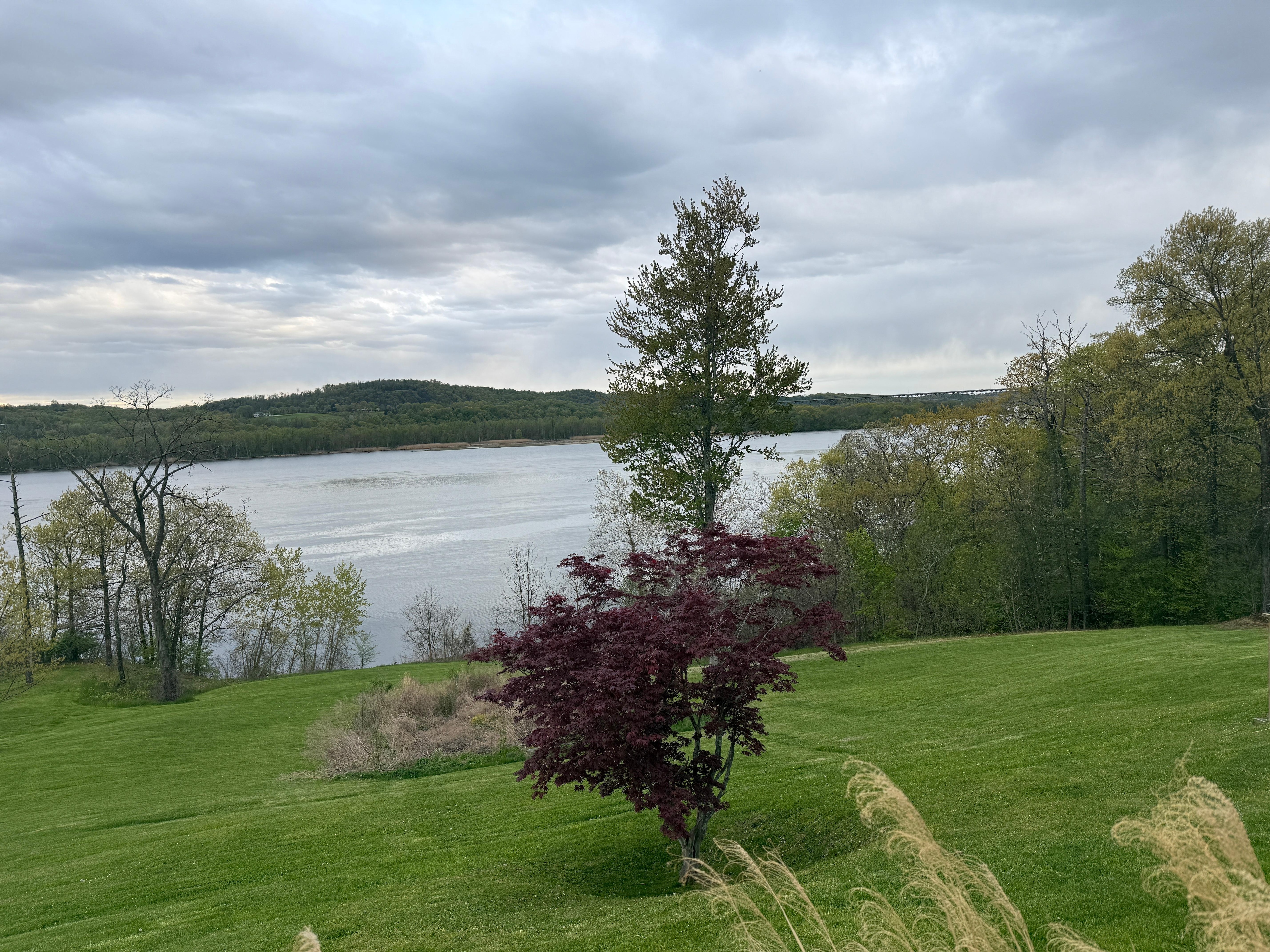 View from the porch