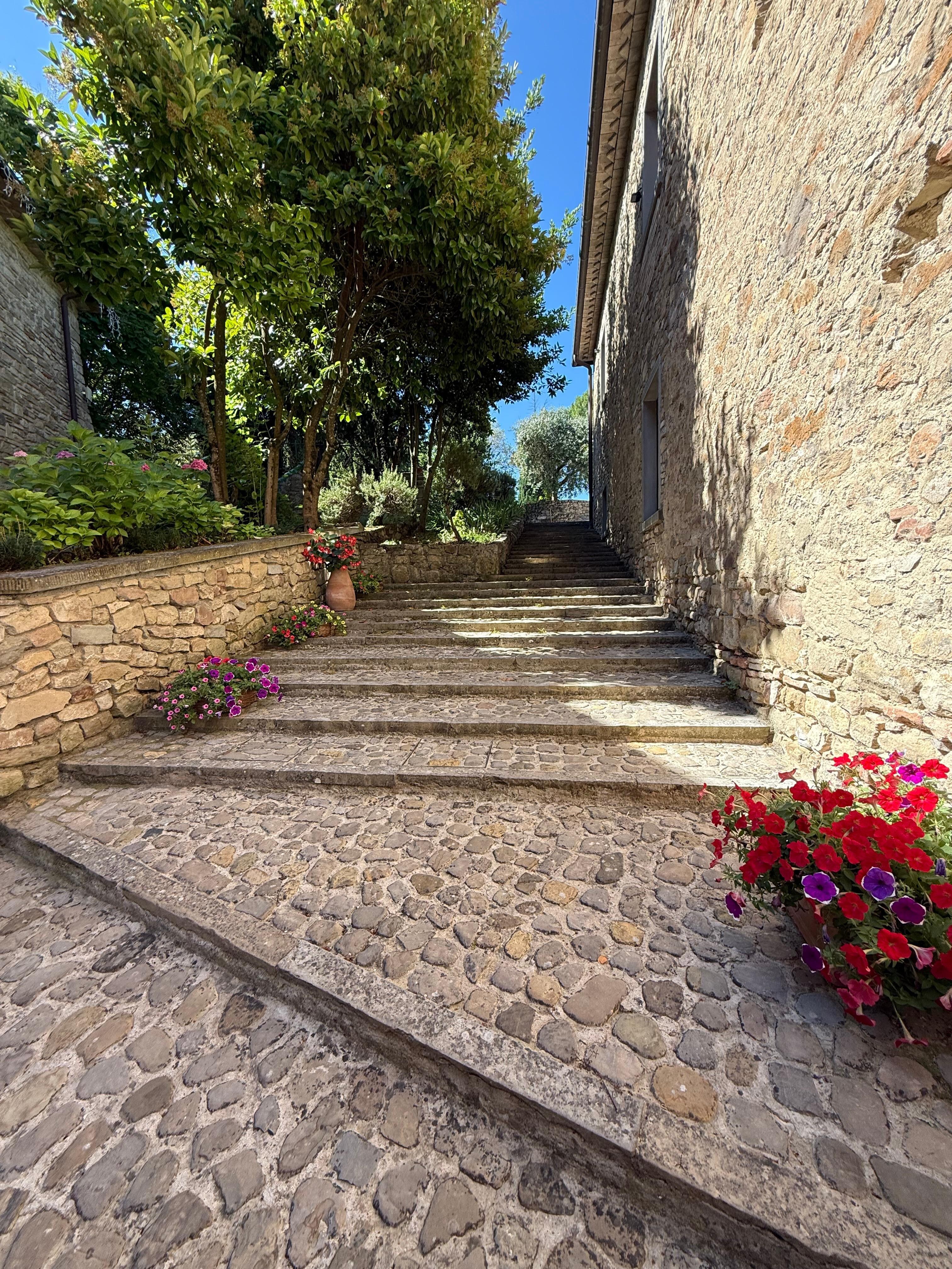 Stairs leading up to pool area