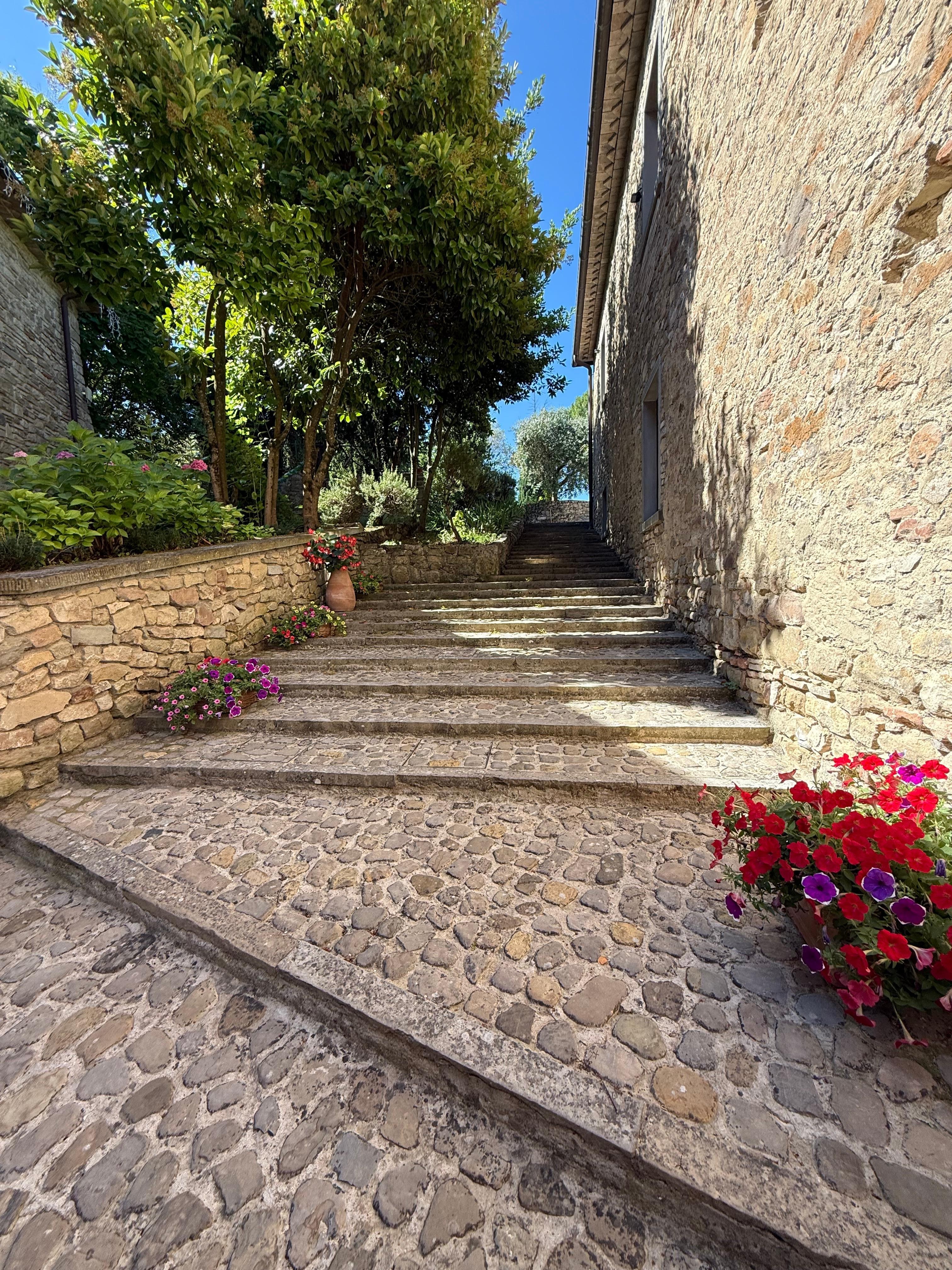 Stairs leading up to pool area