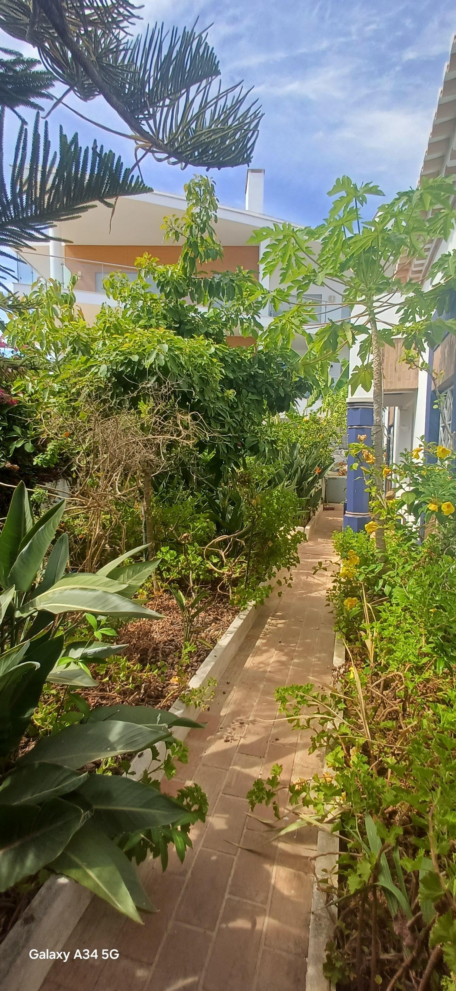 Front area of garden