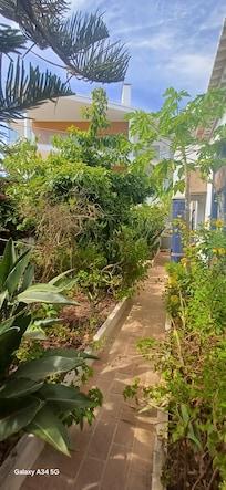 Front area of garden