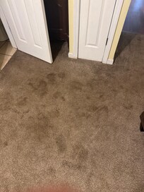 Please clean the carpet!