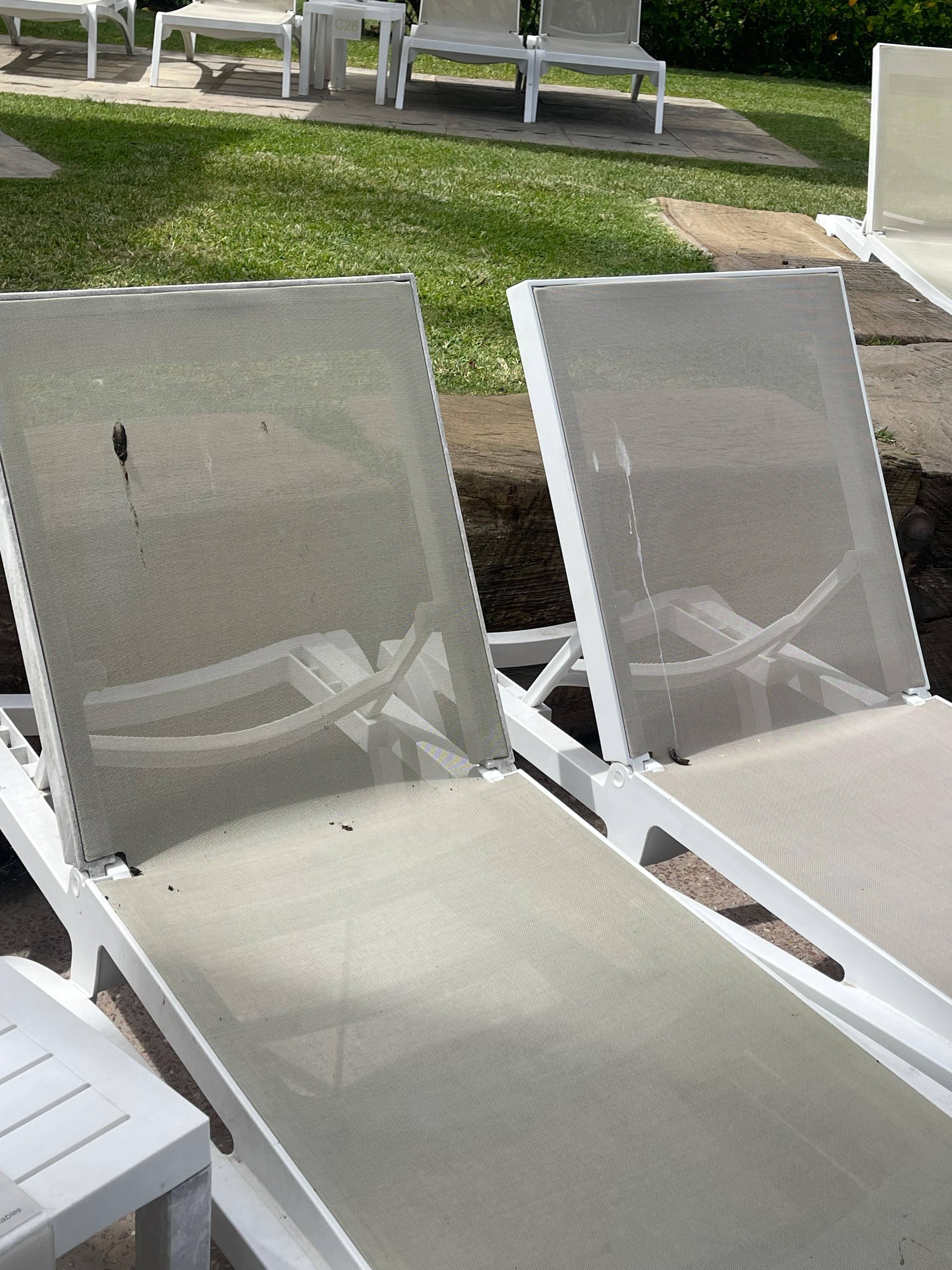 Bird poo on all chairs 