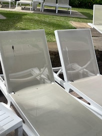 Bird poo on all chairs