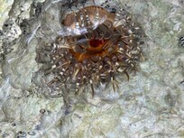 Right on the beach in front of the house!