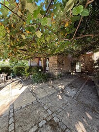 Entrance with kiwi shade