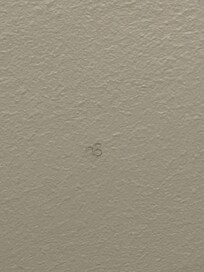 One of the many hairs on the bathroom ceiling.