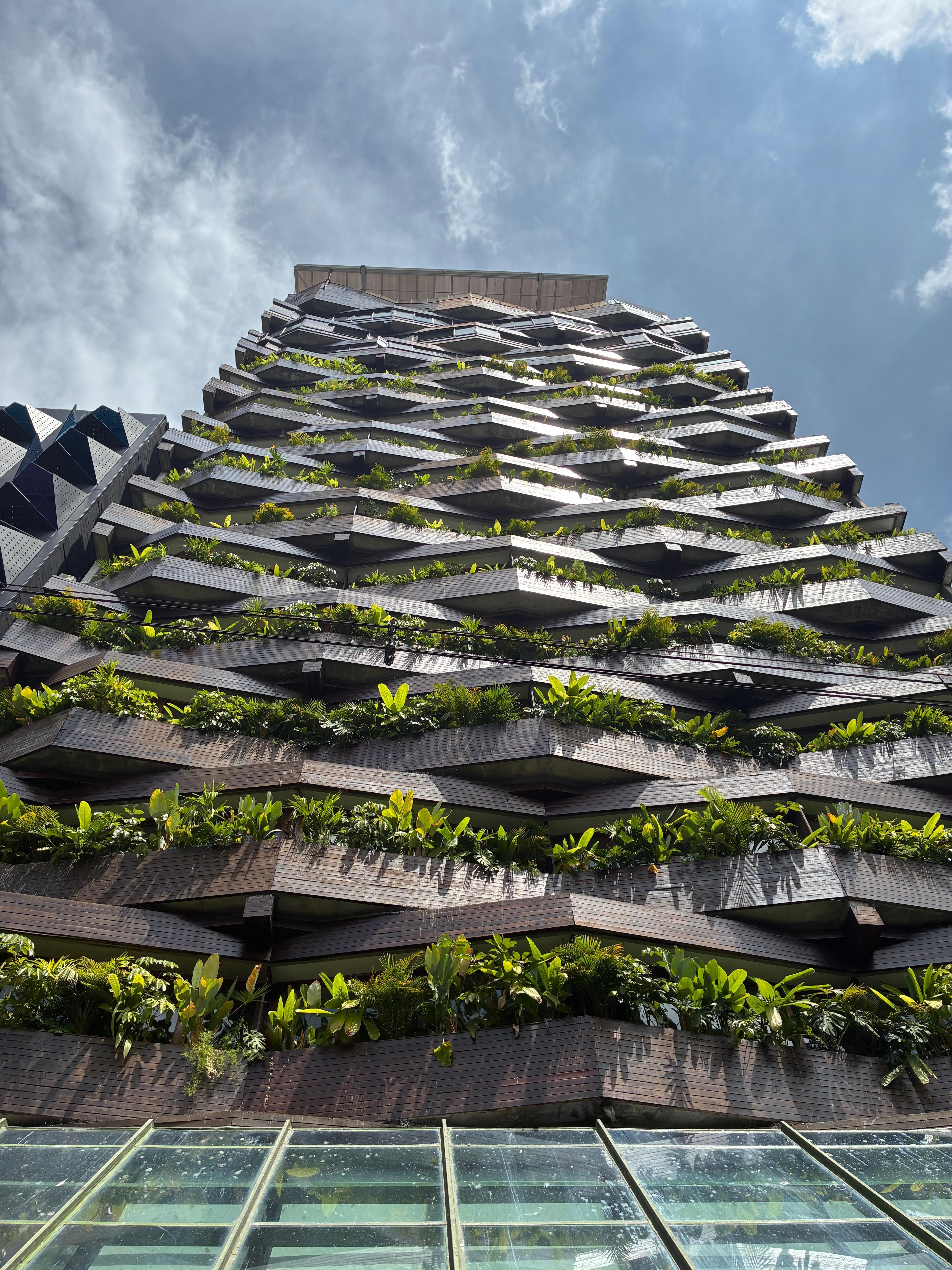 My view from the 9th floor 