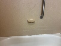 Mold in the bathtub