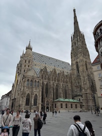 Nur ein Katzensprung vom Stephansdom entfern