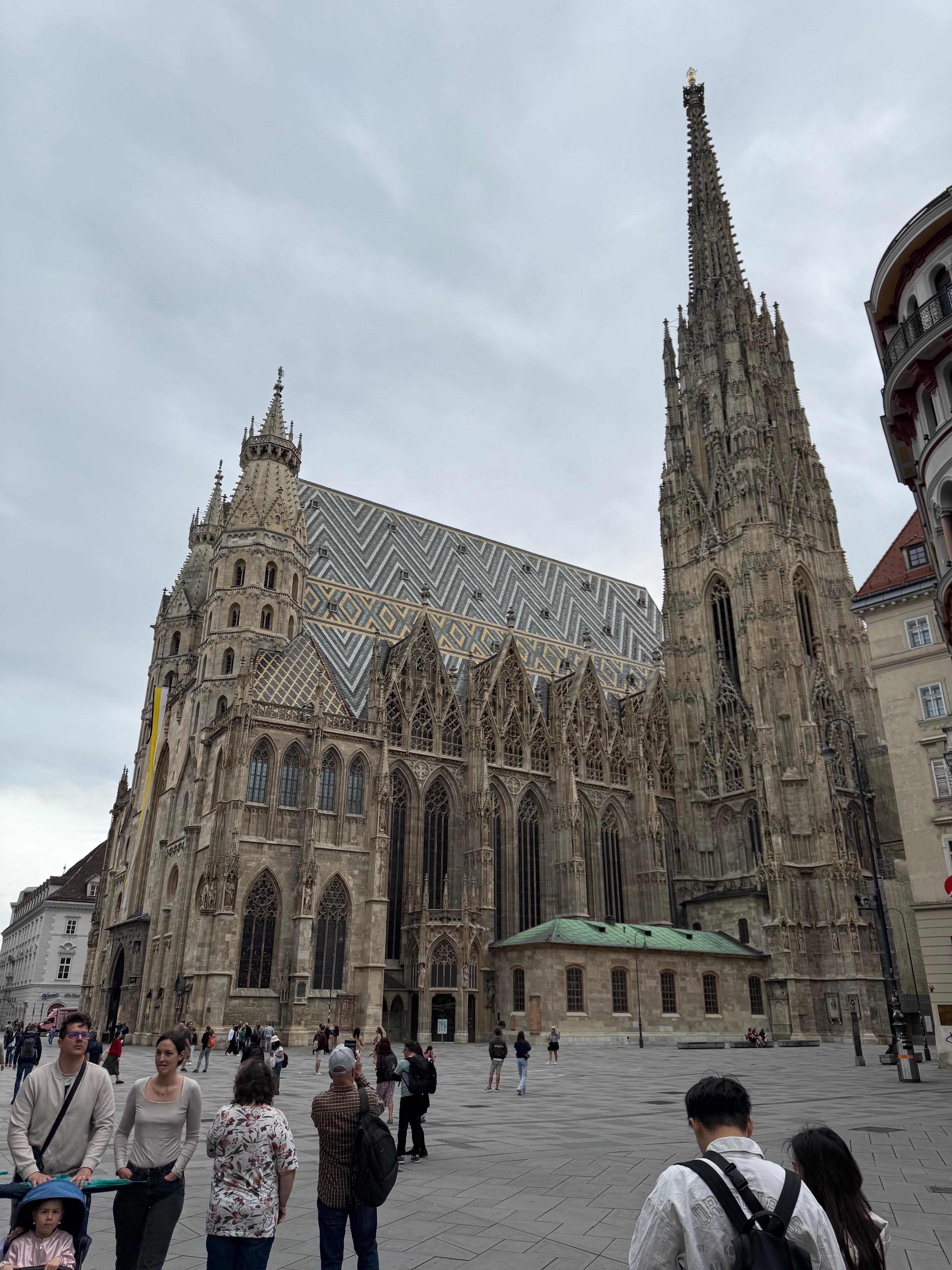 Nur ein Katzensprung vom Stephansdom entfern