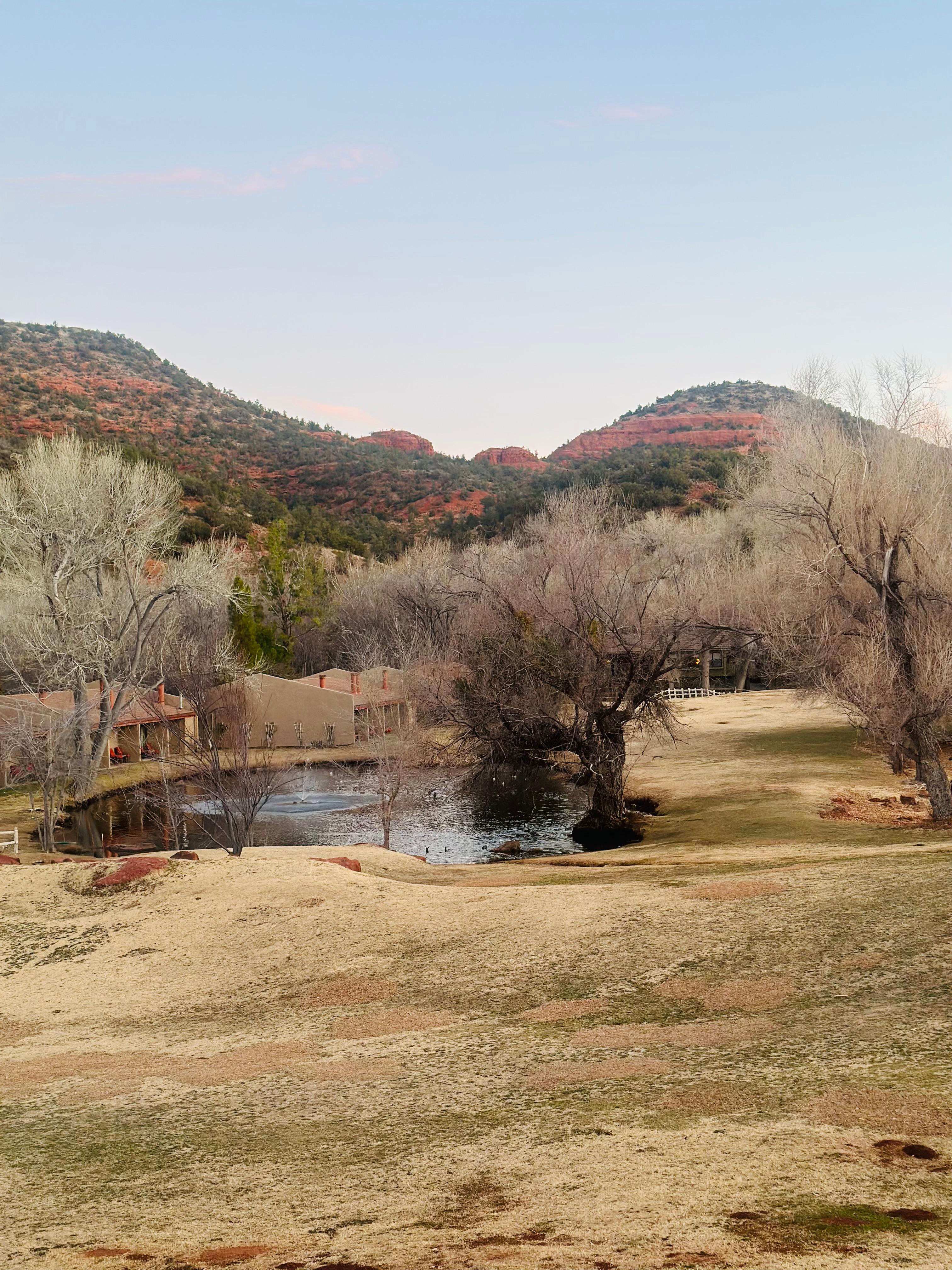 February hotel pond view.