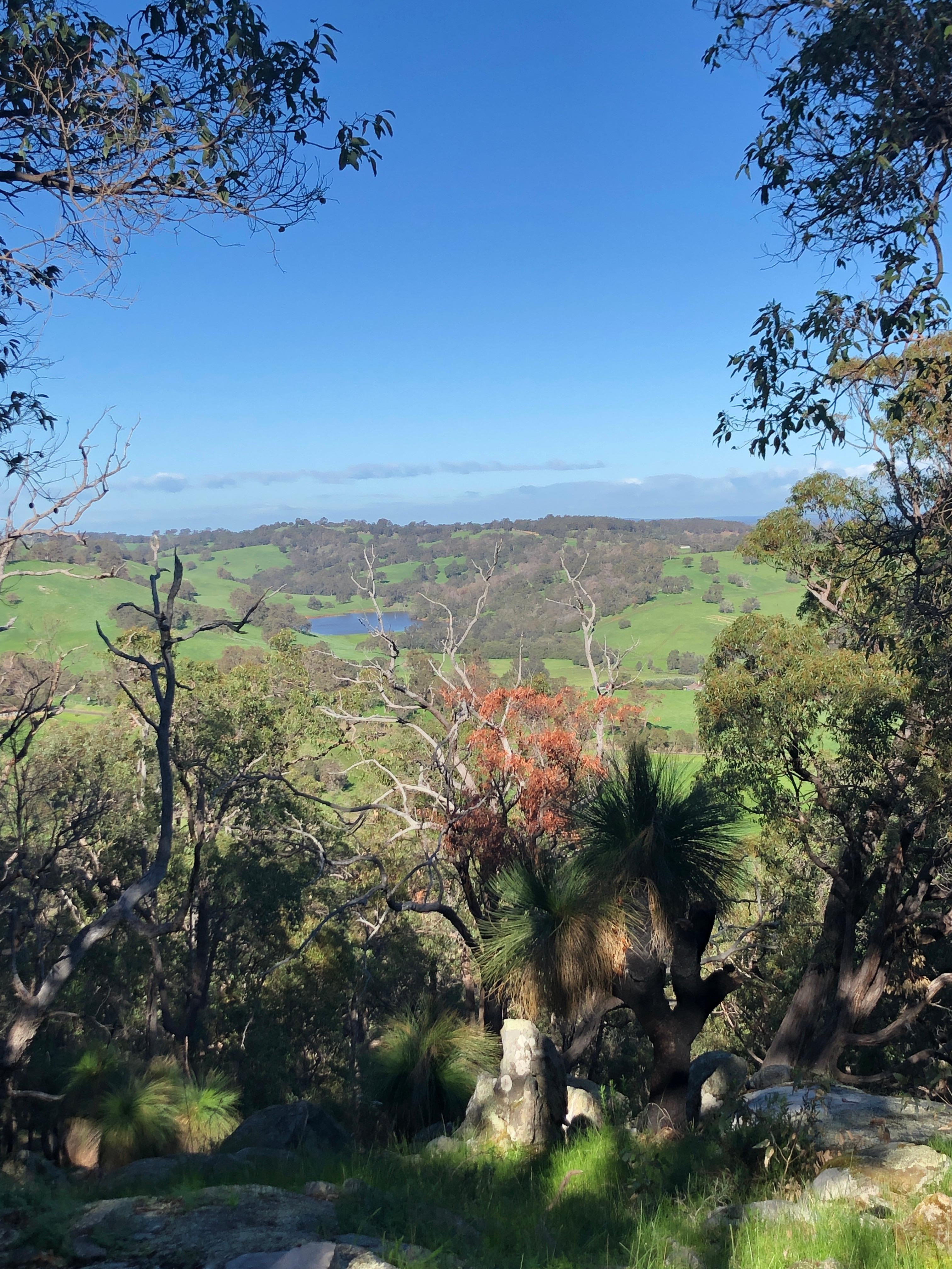 Beautiful views over Ferguson Valley from the bush walk 