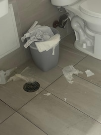 This is just disgusting- this was there at night and then the next day