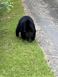 Another visitor but only came once