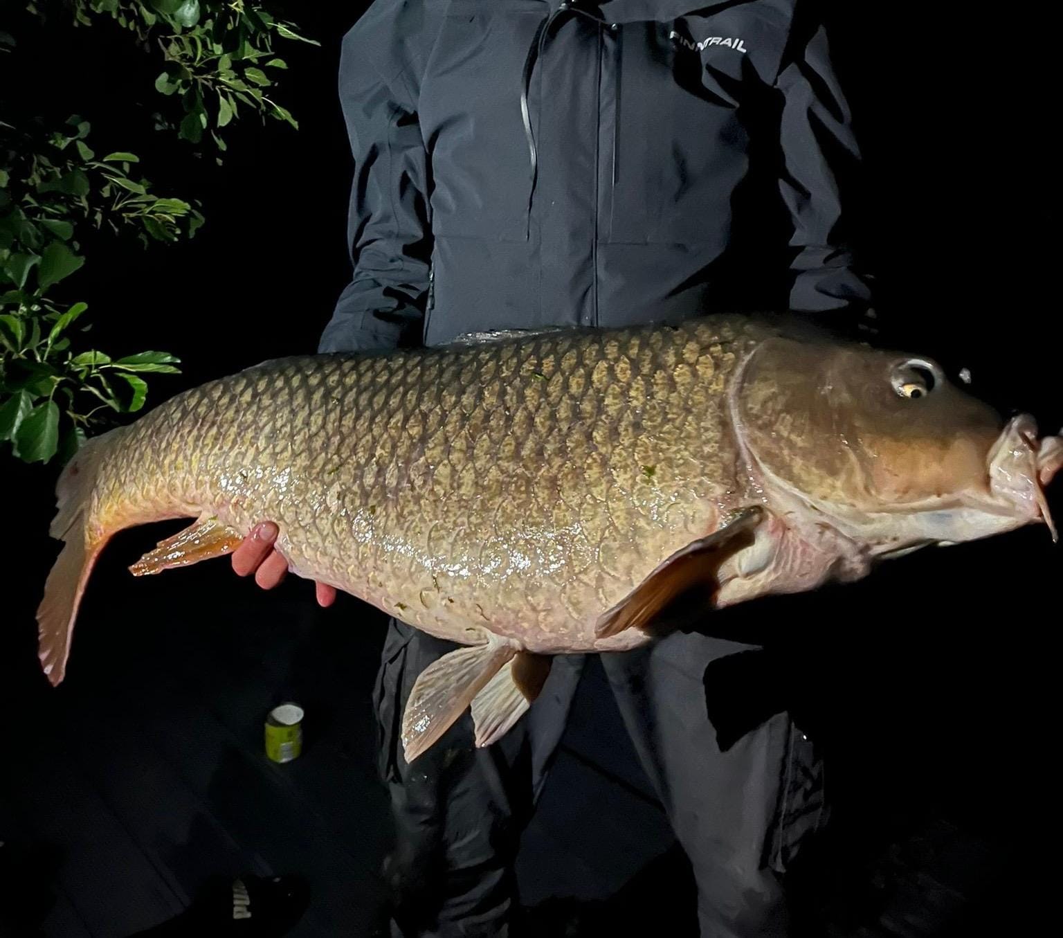 Direkt vom Steg gefangen :-)