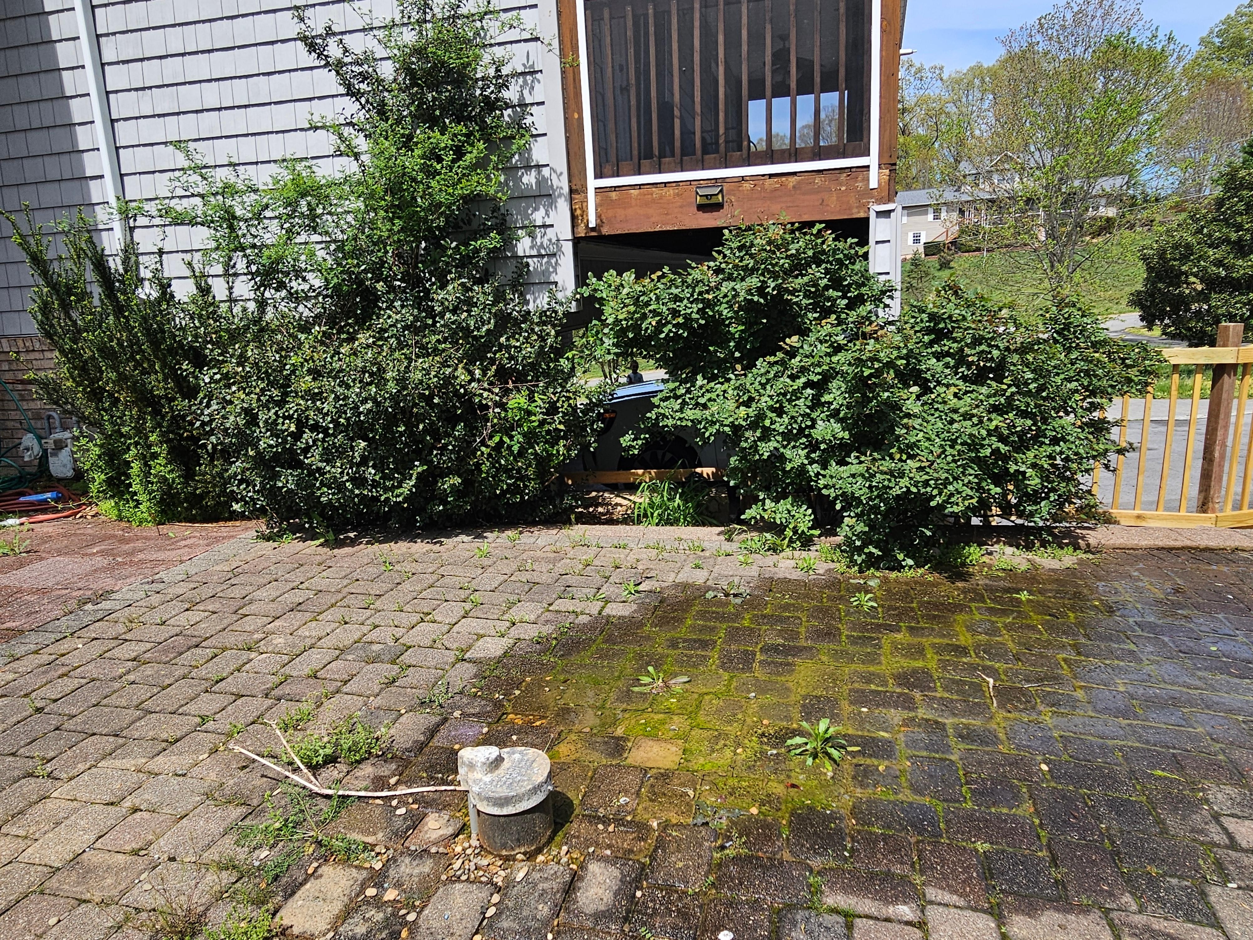 Unsure if this was waste or not but we certainly smelled sewage during our stay