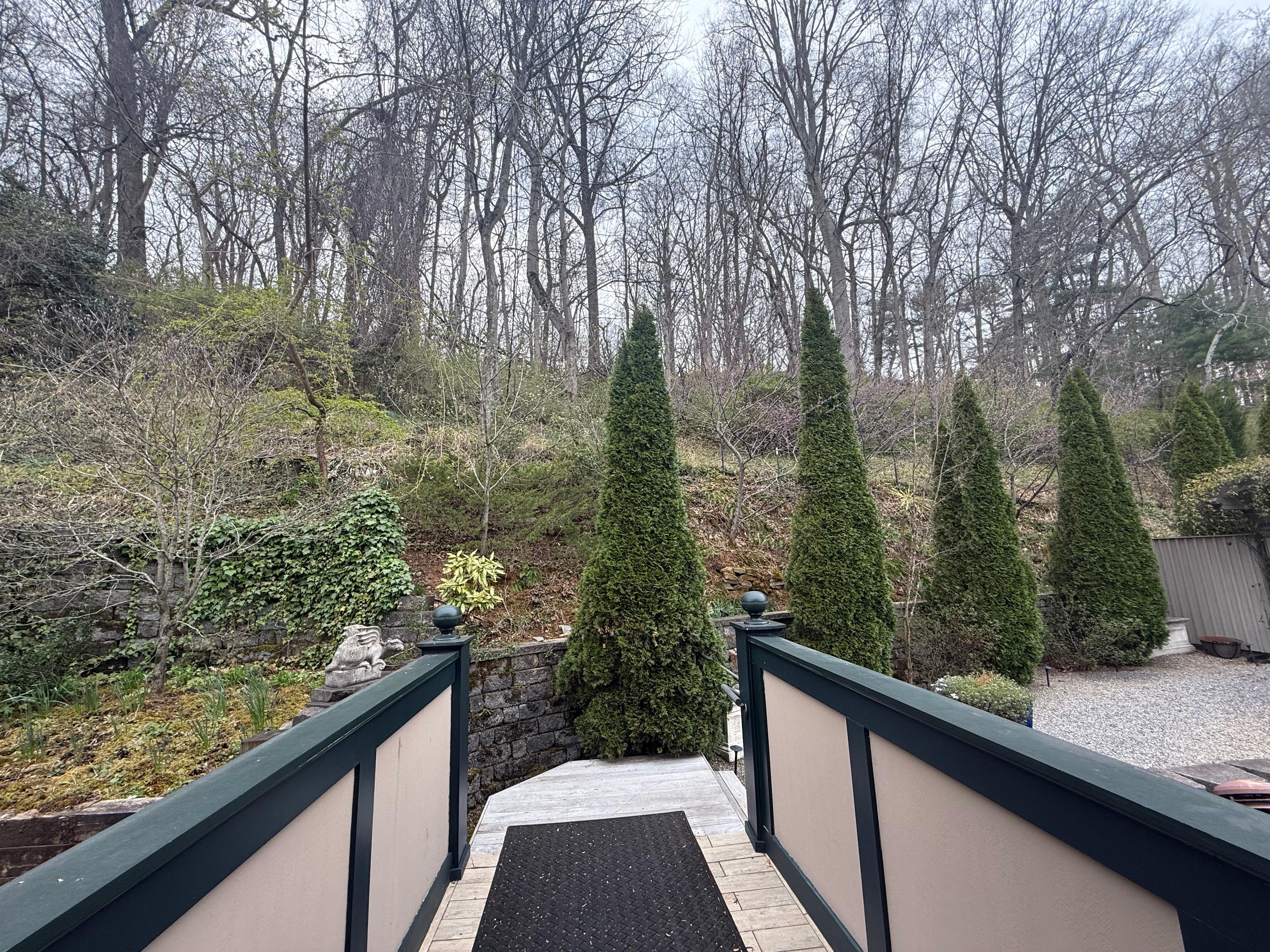 View facing out from front door