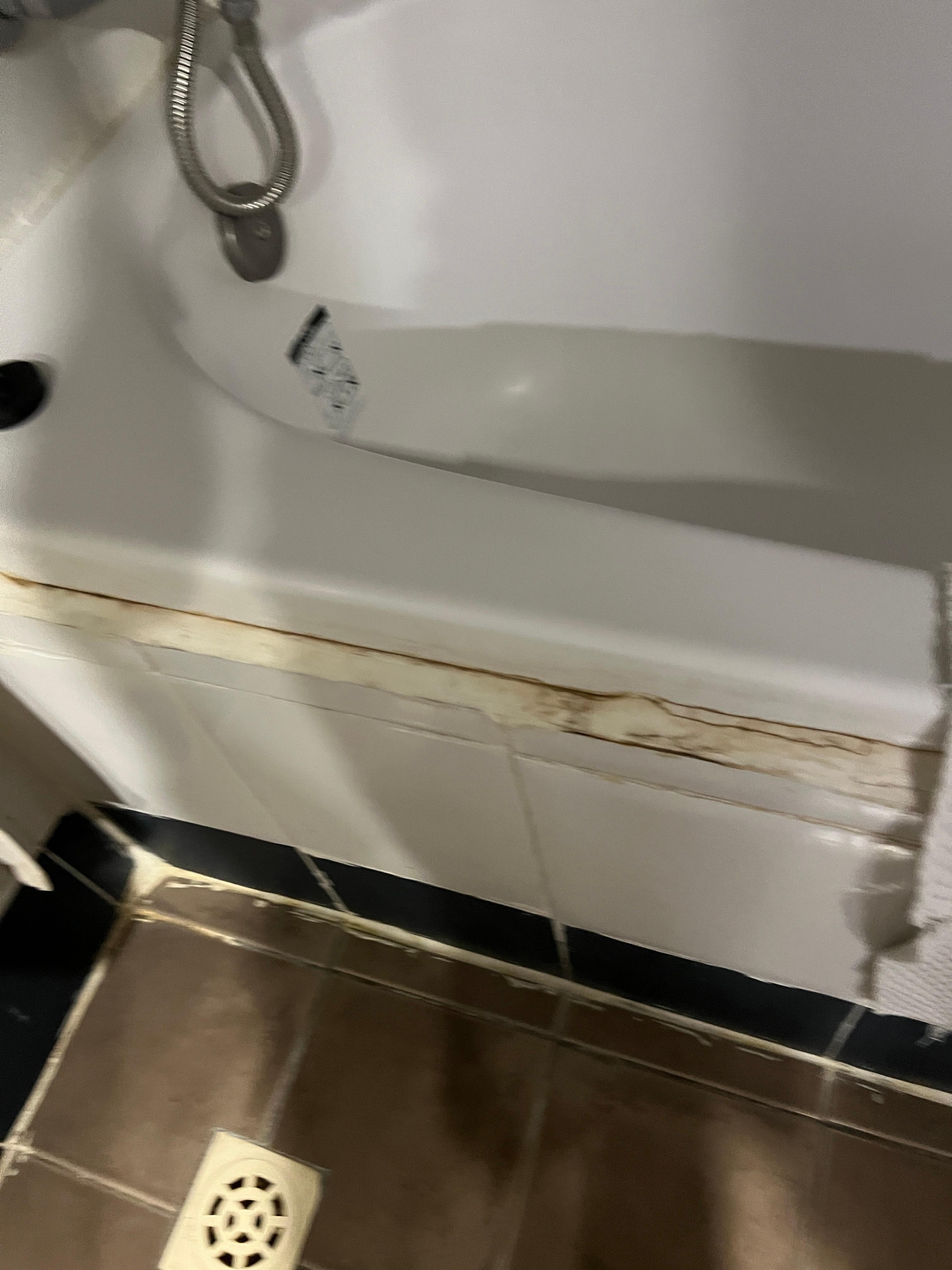 Mouldy grout everywhere