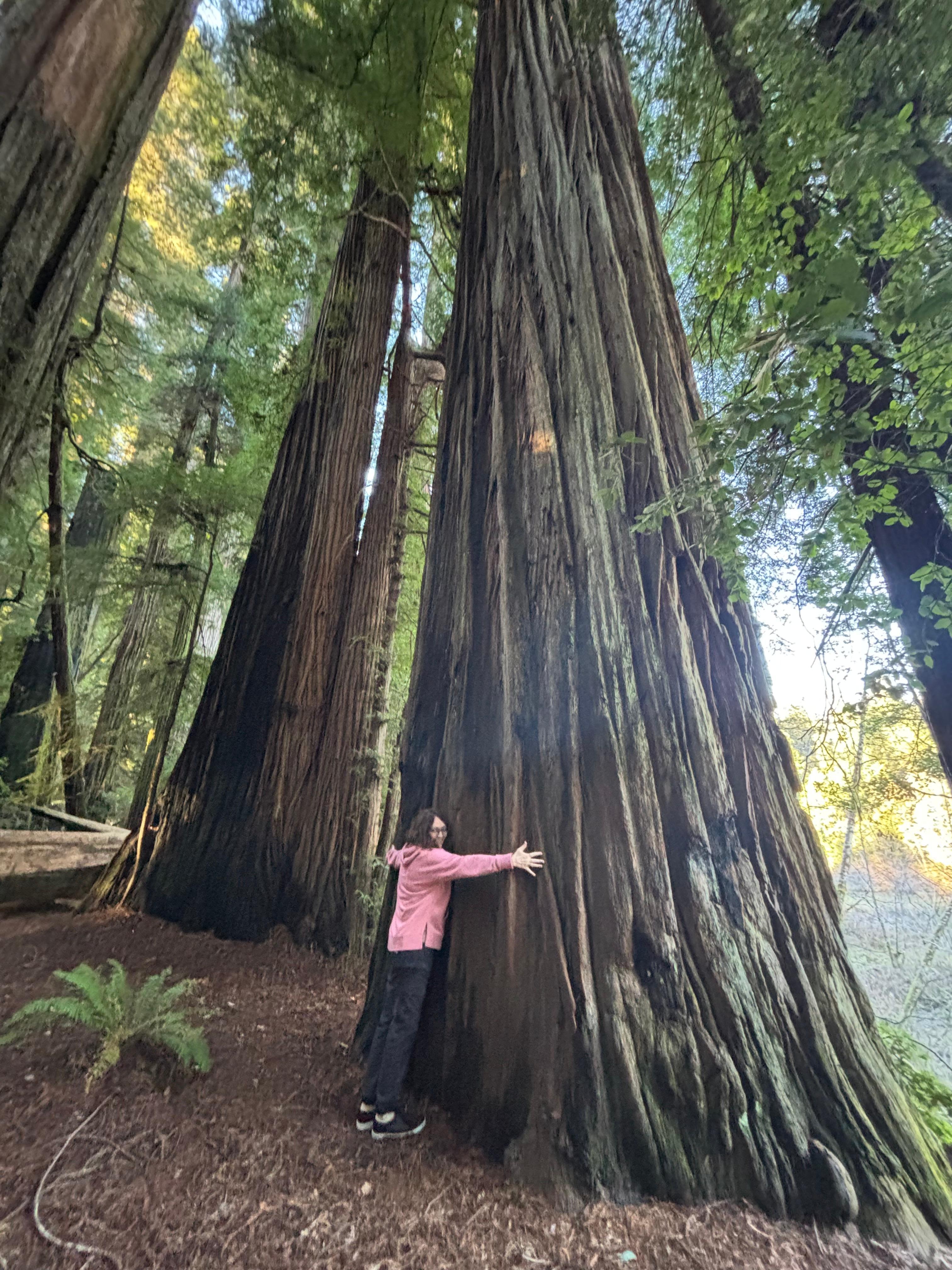 So close to Stout Grove for beautiful Redwood viewing 