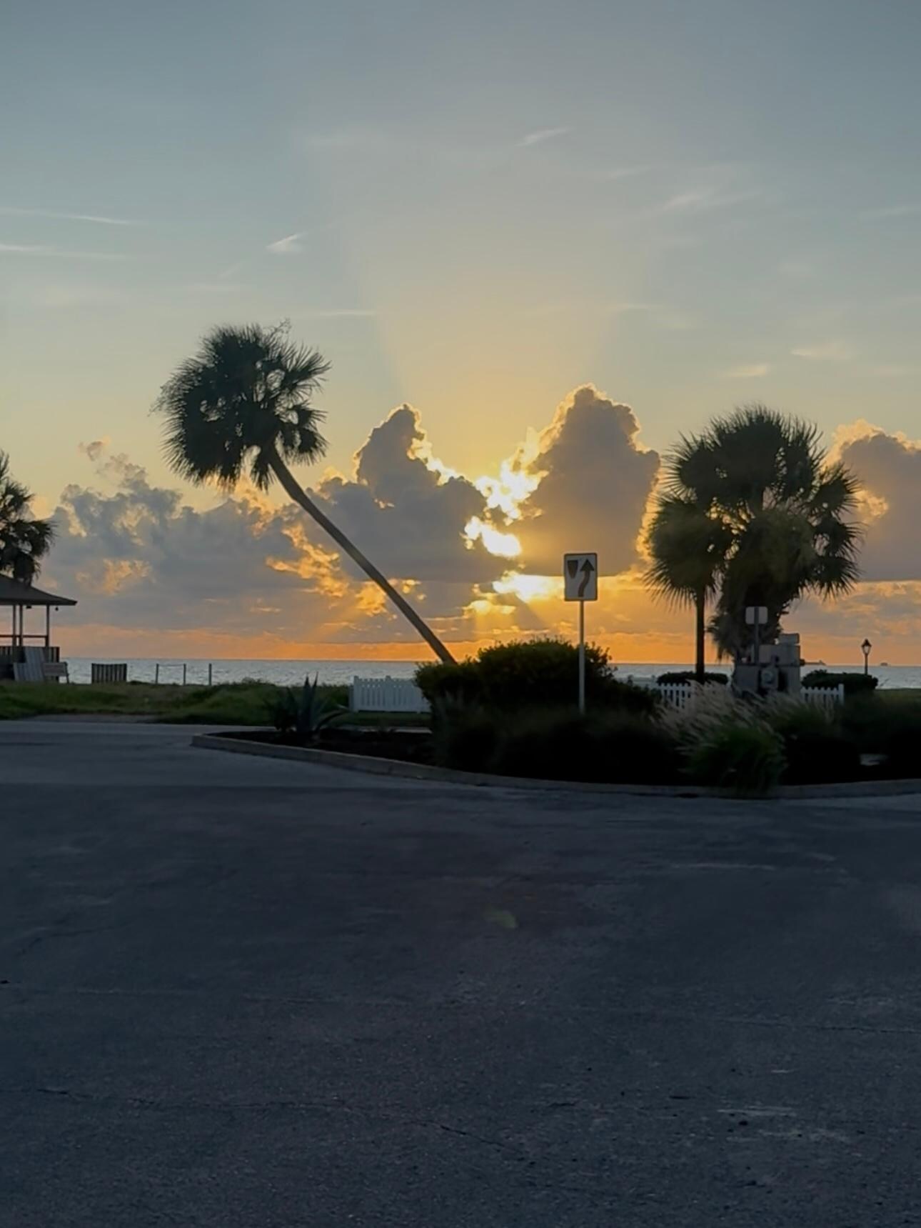Morning Walk