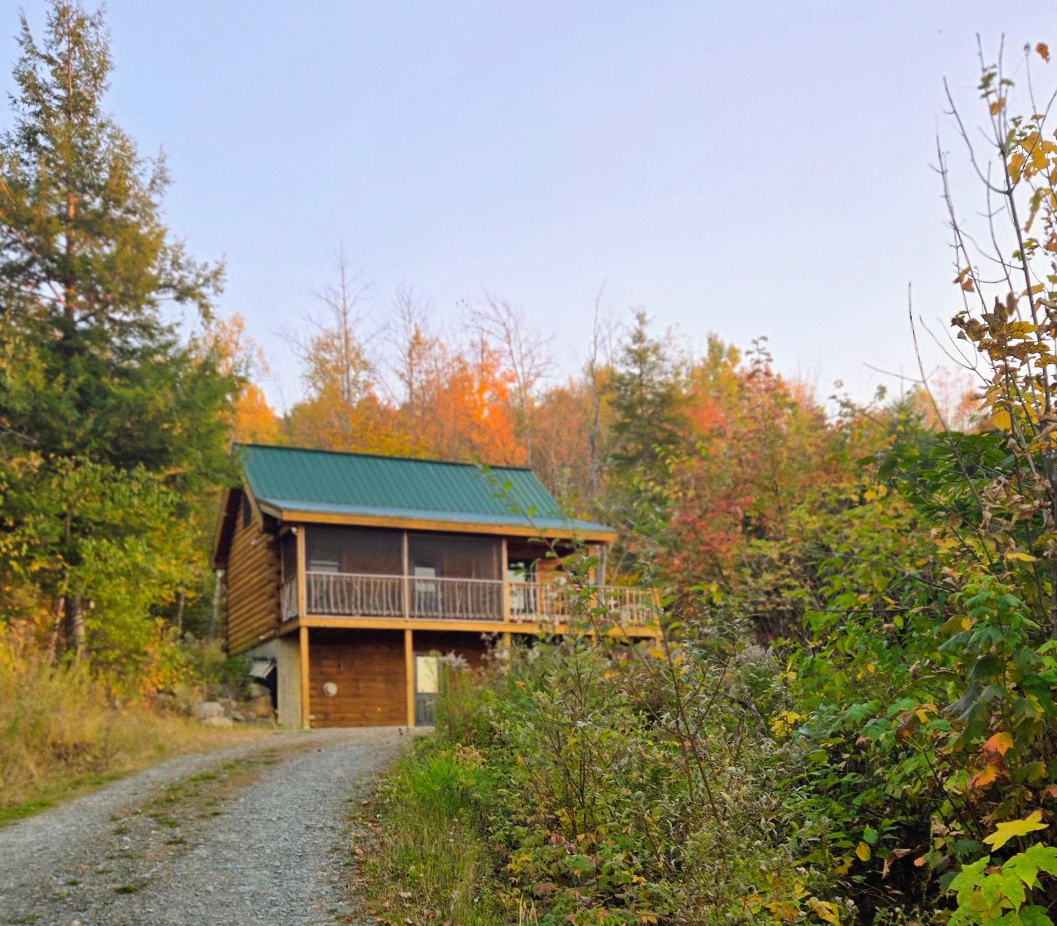 View of cabin going up driveway 
