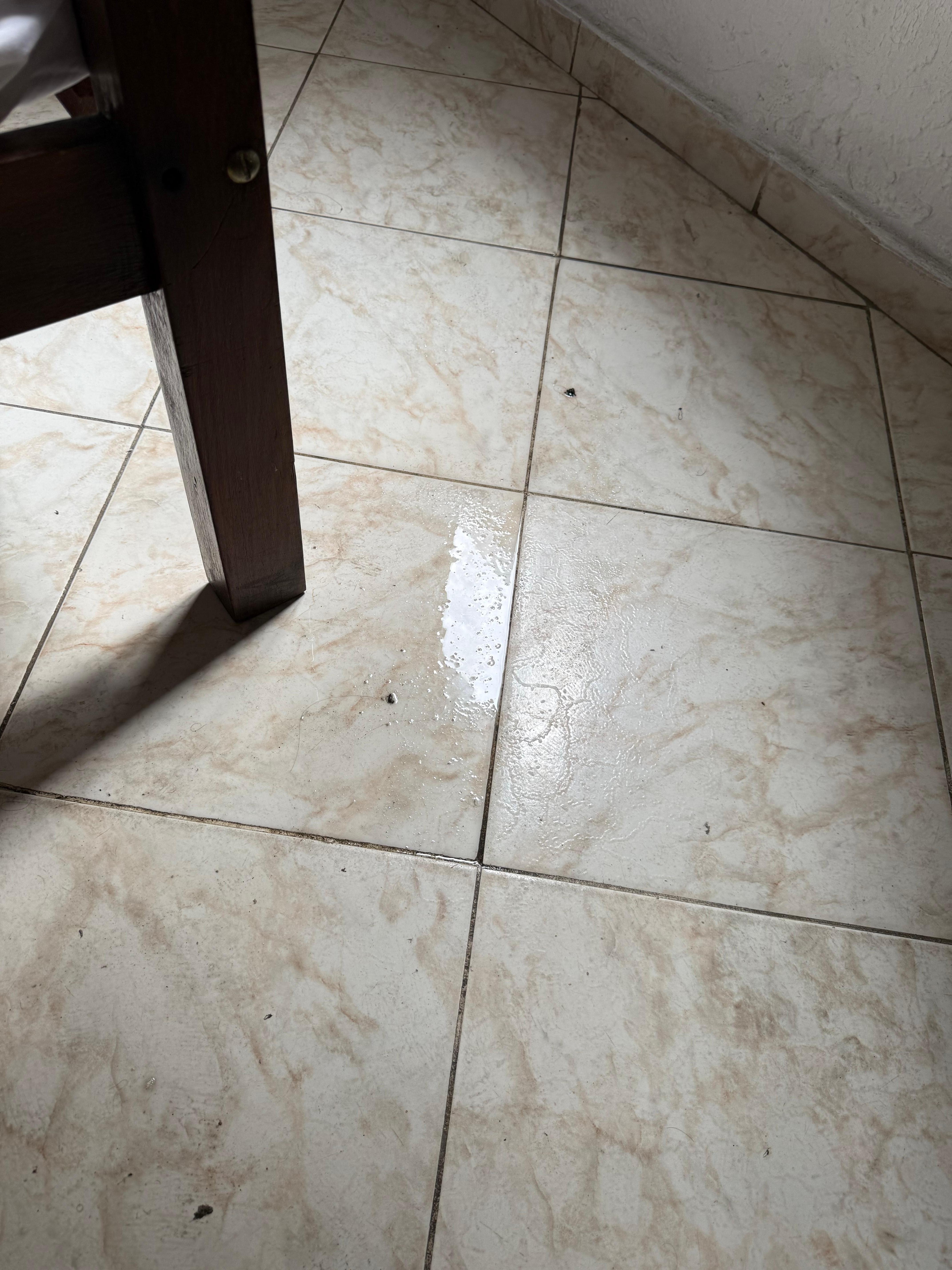 Possa de água no quarto 