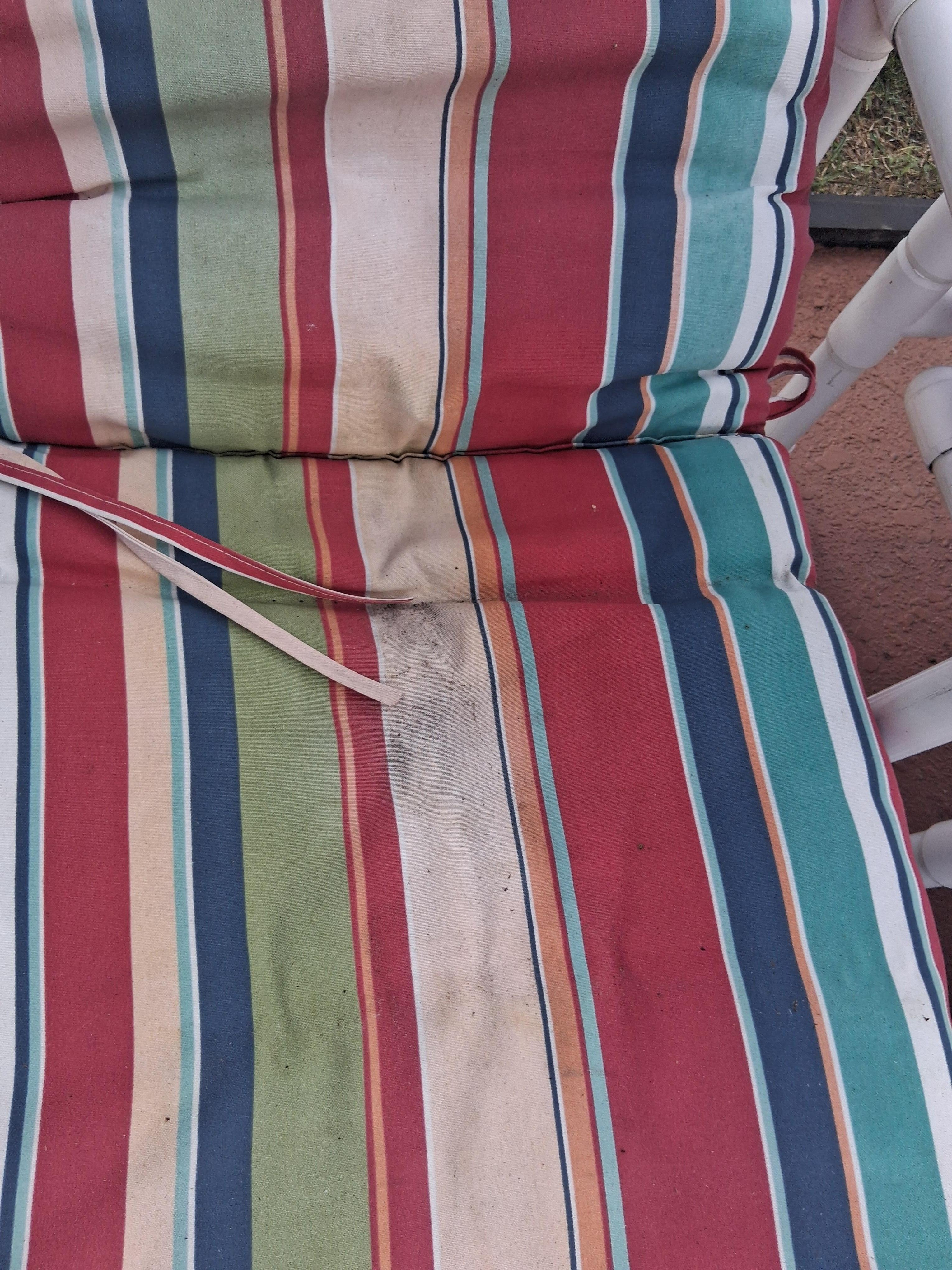 Outdoor tanning chairs moldy dirty